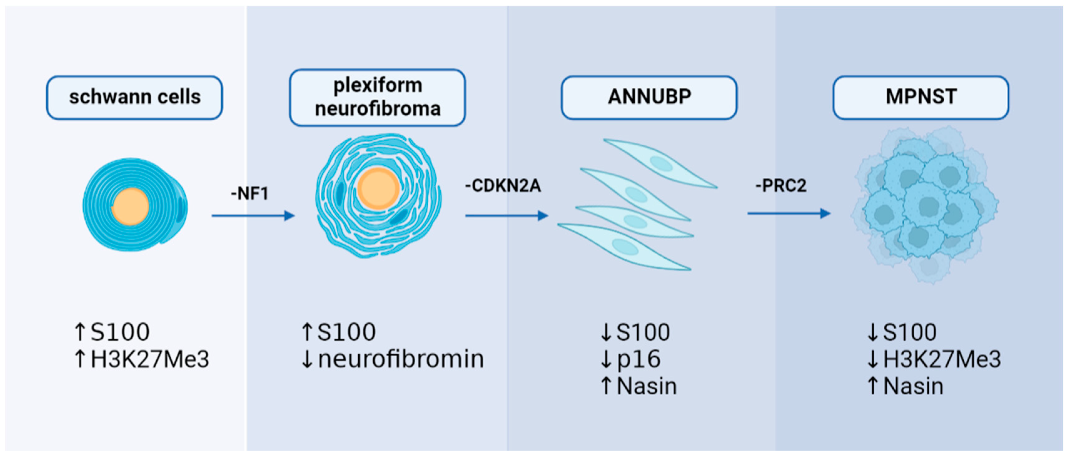 Cancers 15 01077 g003 Cancers 15 01077 g003