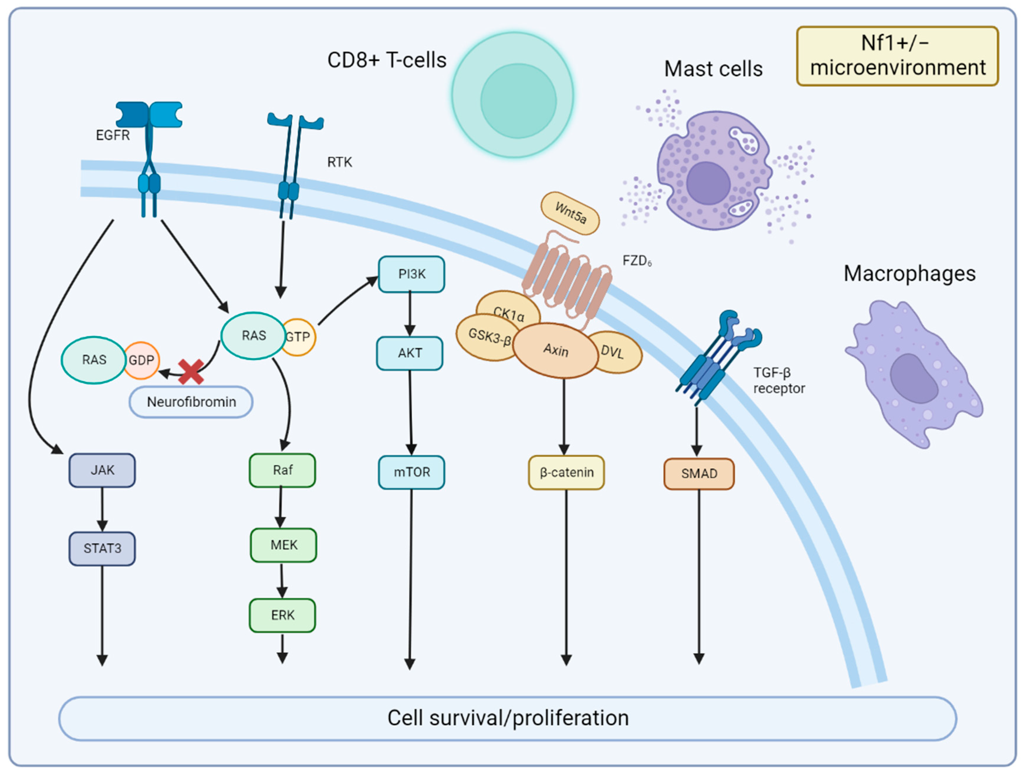 Cancers 15 01077 g004 Cancers 15 01077 g004