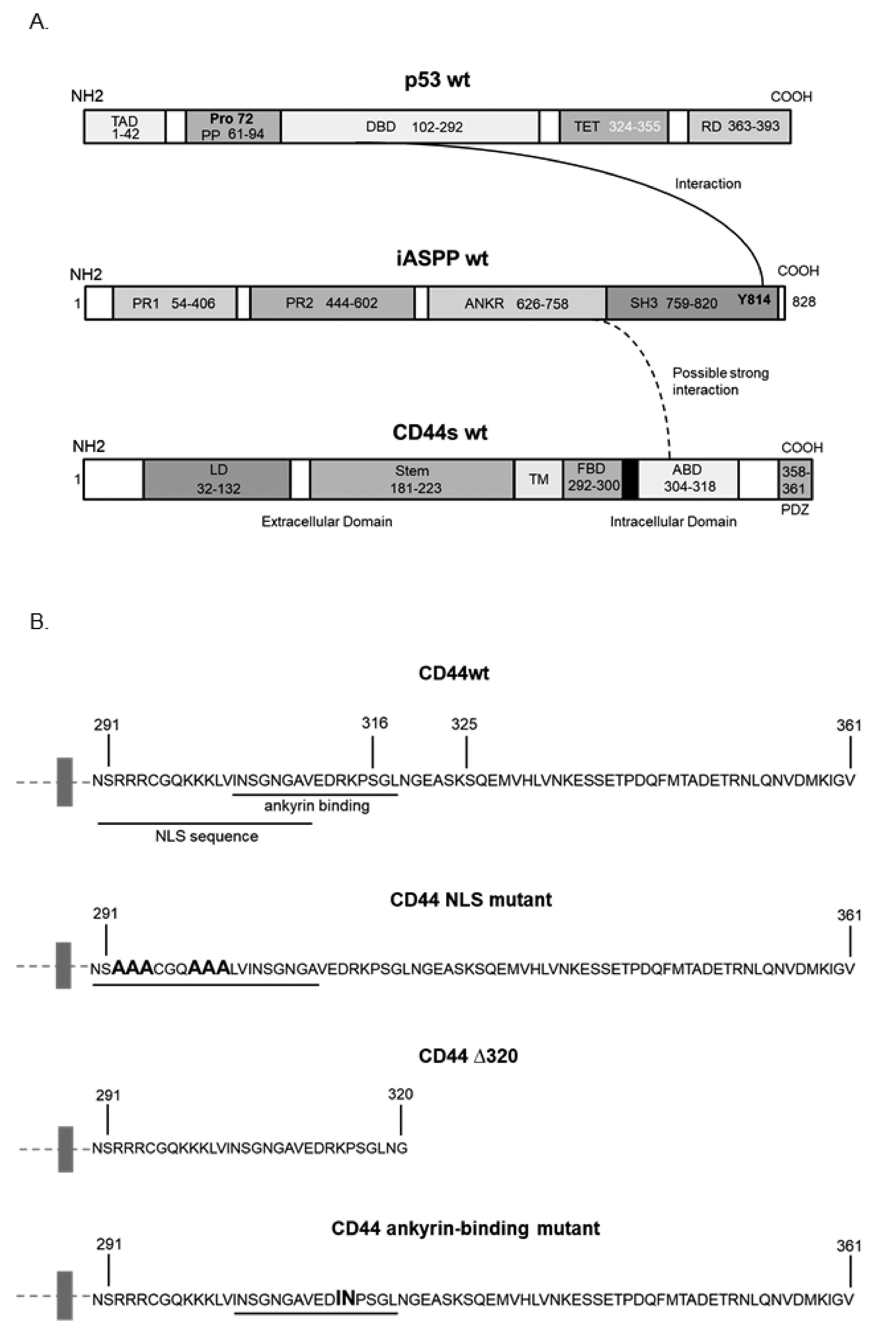 Cancers 15 01082 g002 Cancers 15 01082 g002