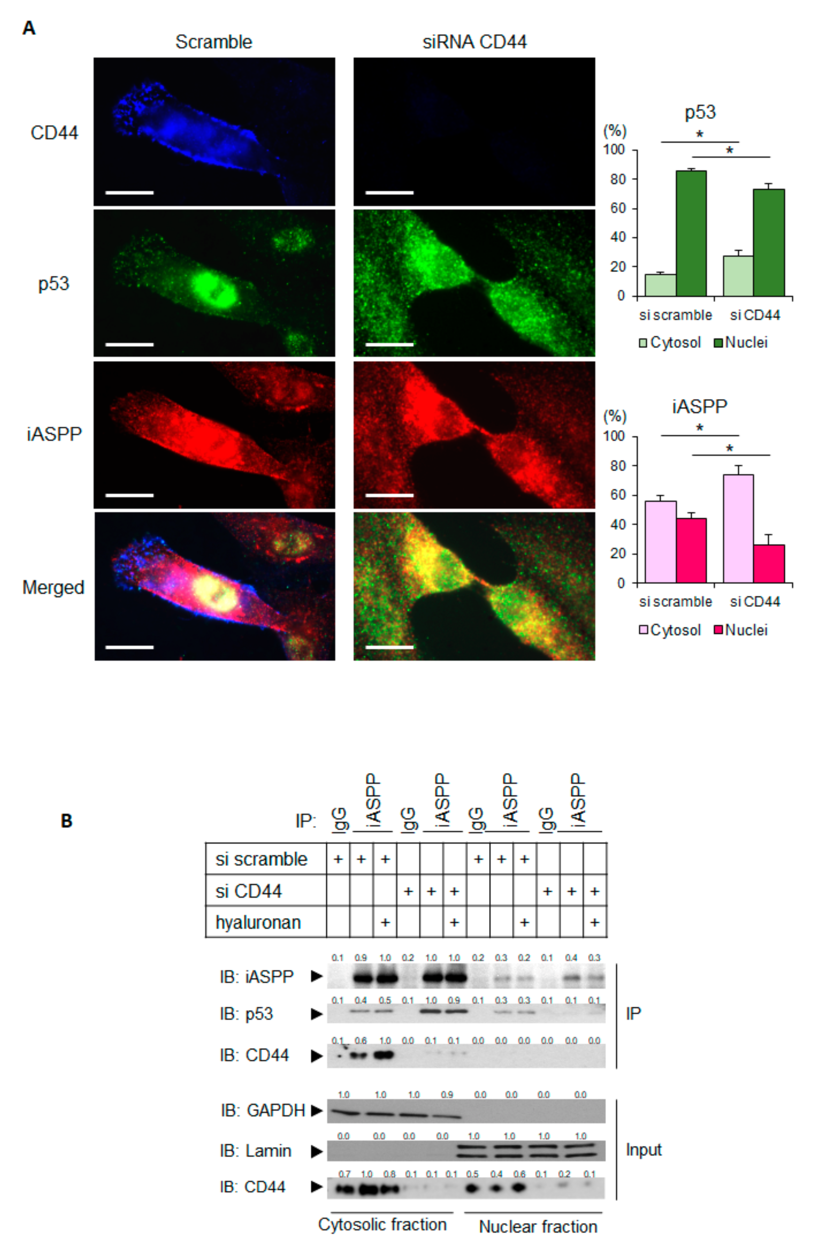 Cancers 15 01082 g005 Cancers 15 01082 g005