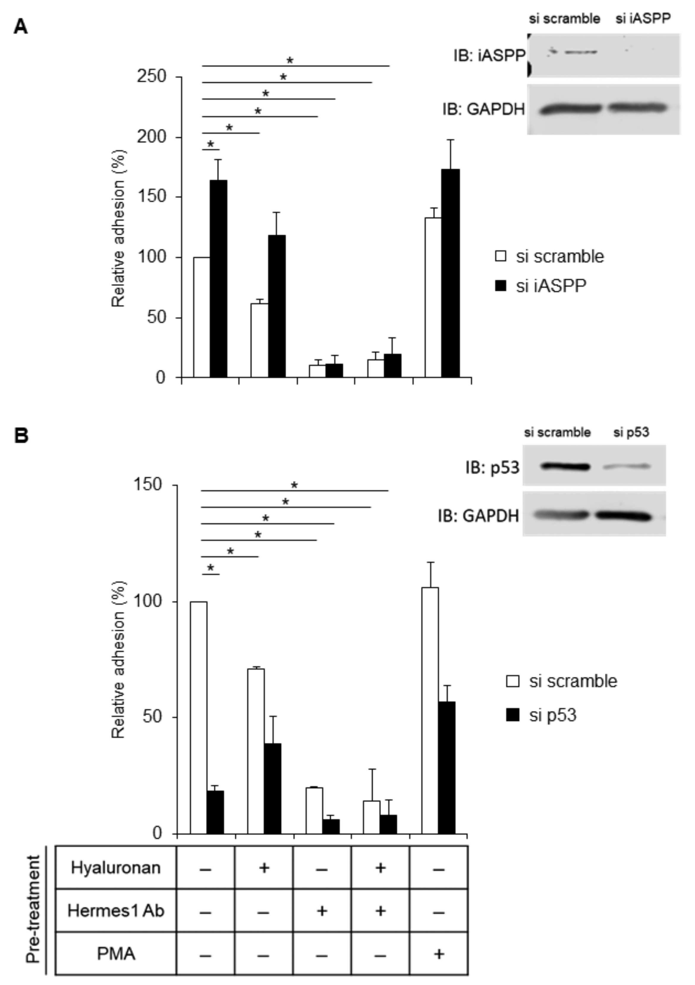 Cancers 15 01082 g008 Cancers 15 01082 g008