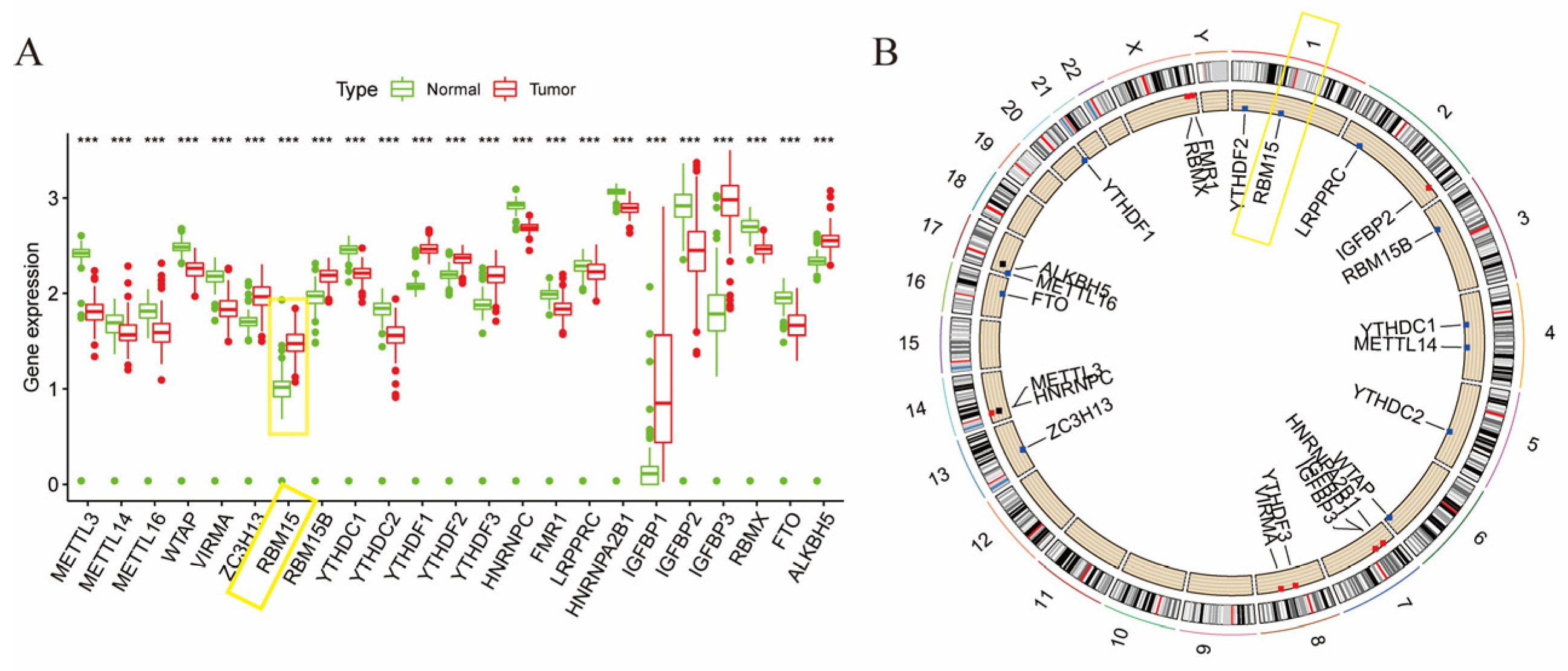 Cancers 15 01084 g001 Cancers 15 01084 g001