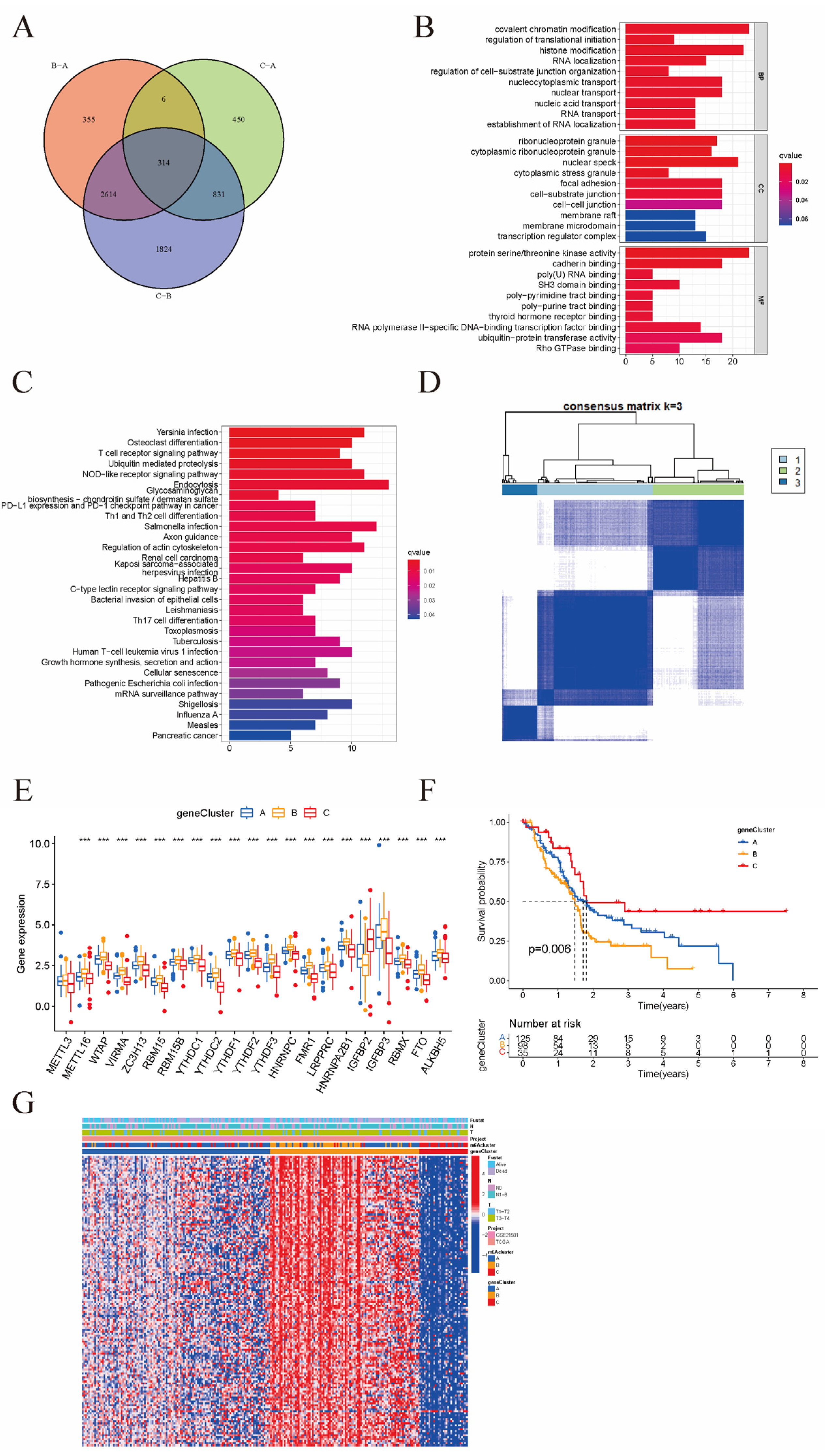 Cancers 15 01084 g004 Cancers 15 01084 g004