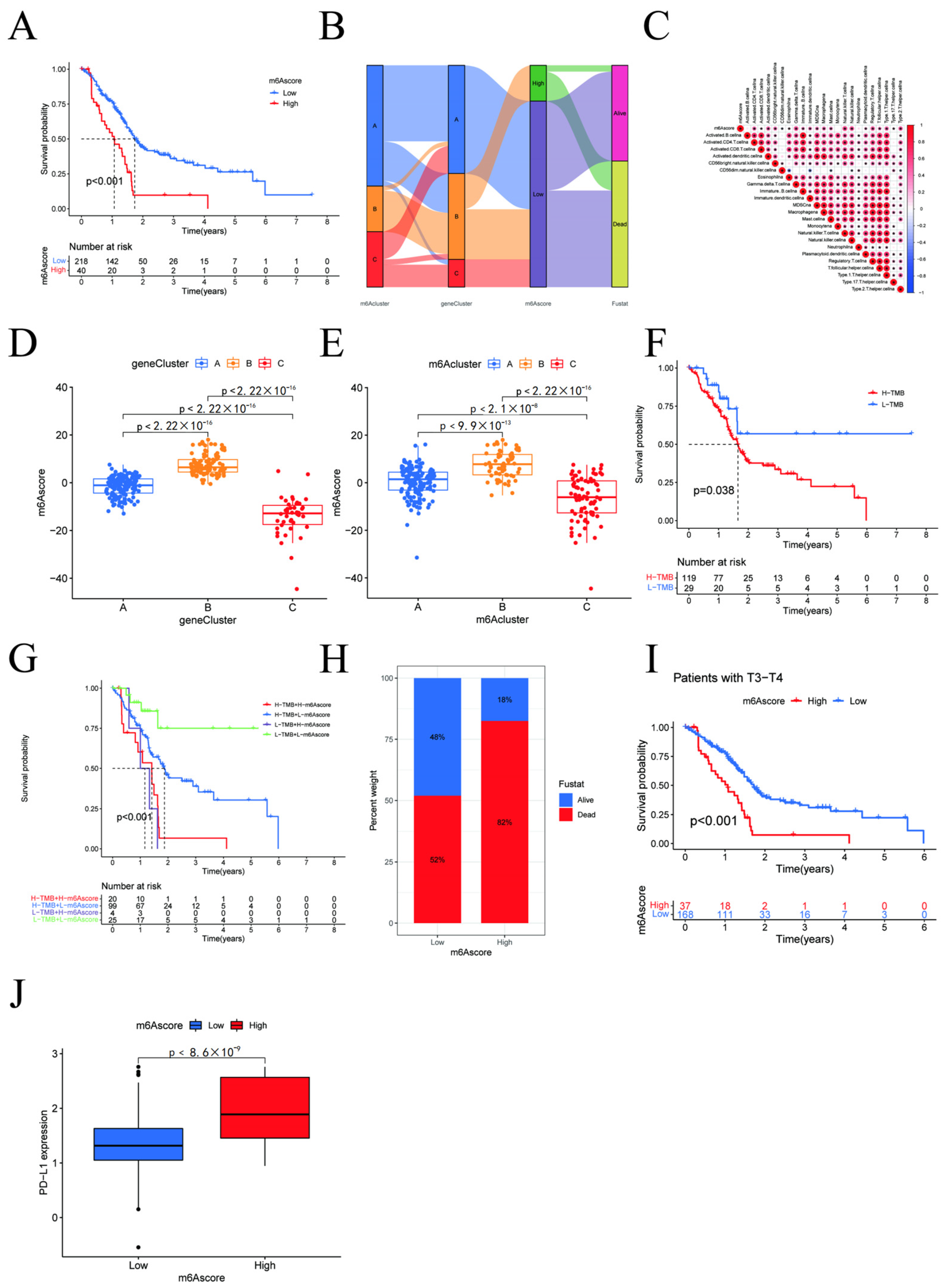 Cancers 15 01084 g005 Cancers 15 01084 g005