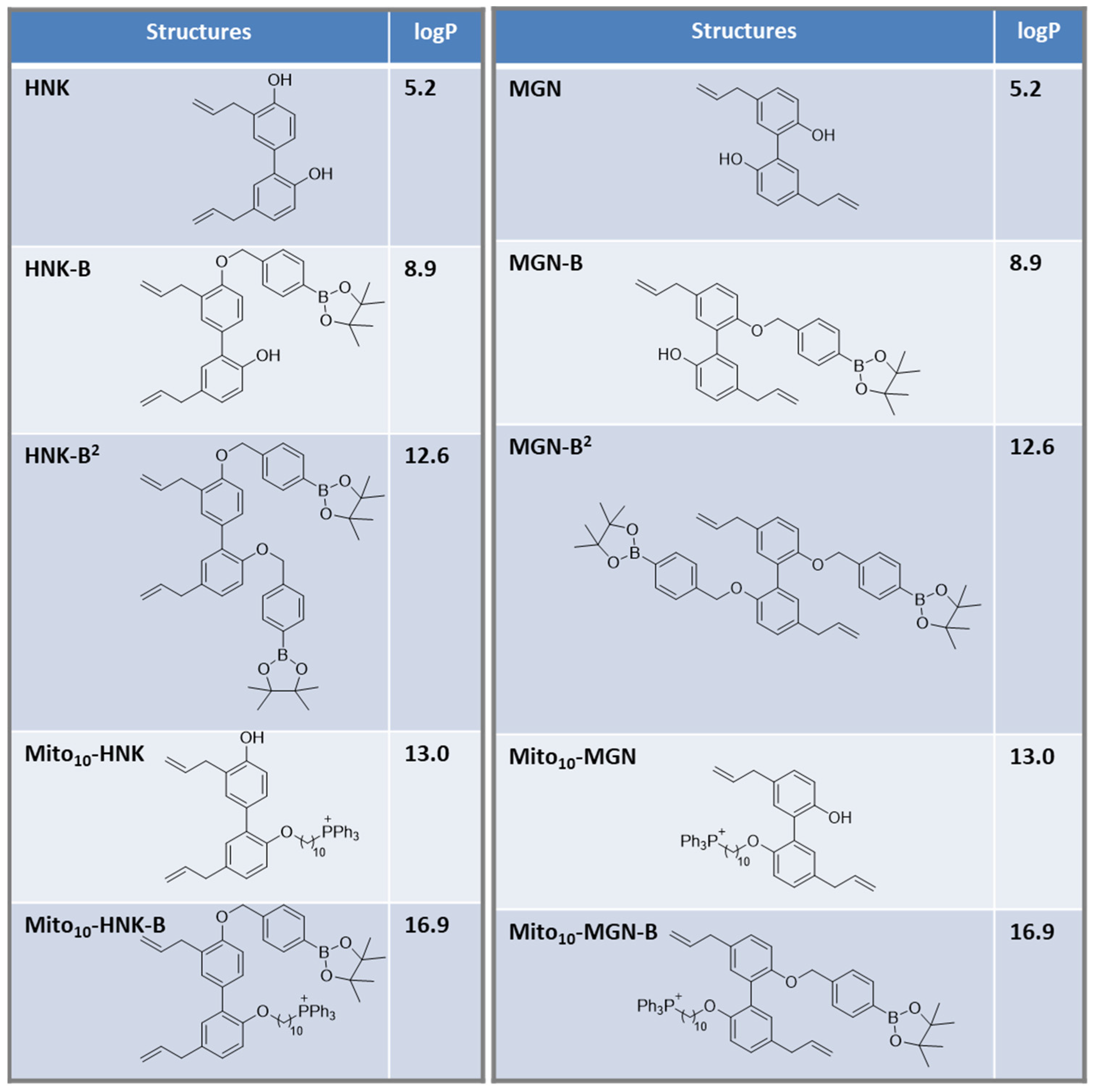 Cancers 15 01089 g001