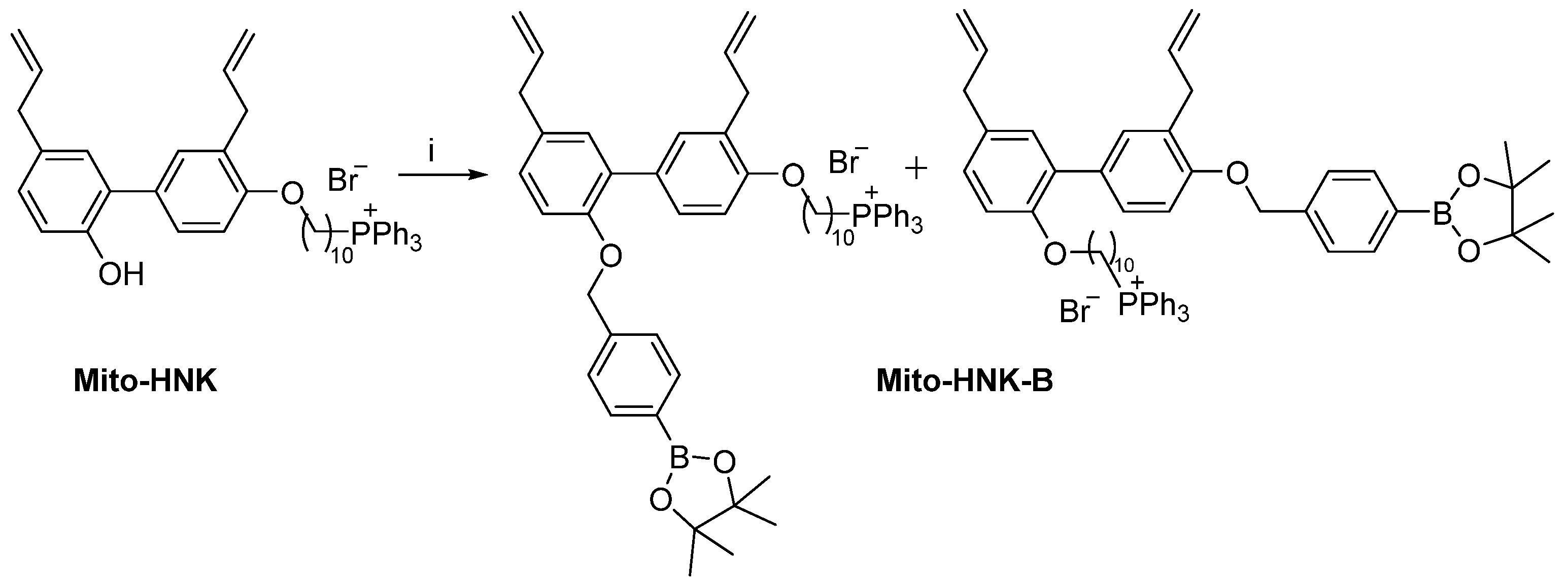 Cancers 15 01089 sch002