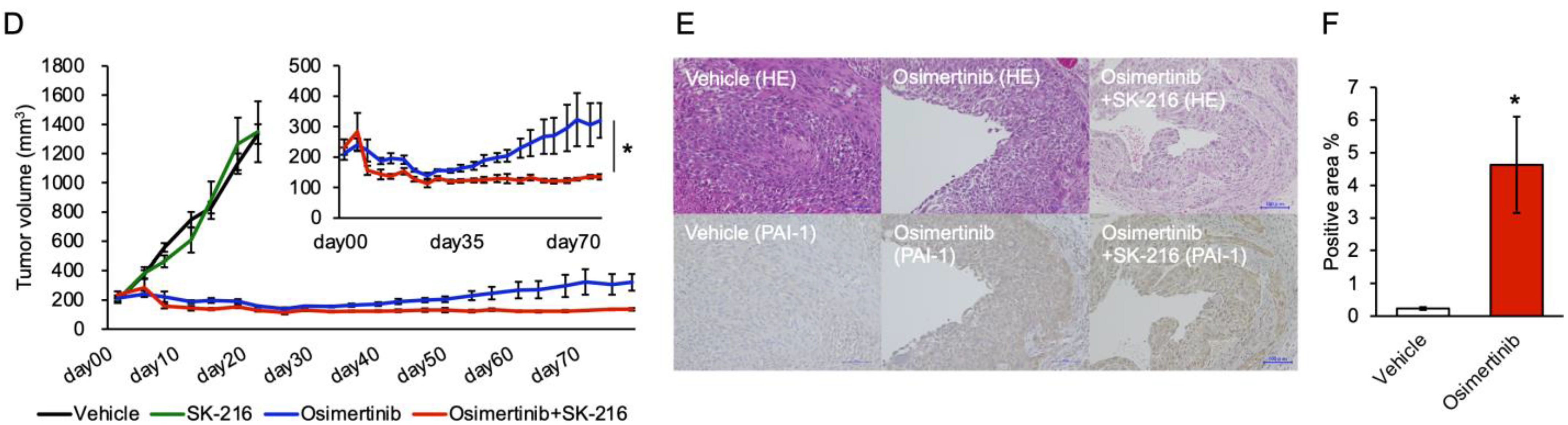 Cancers 15 01092 g005b Cancers 15 01092 g005b