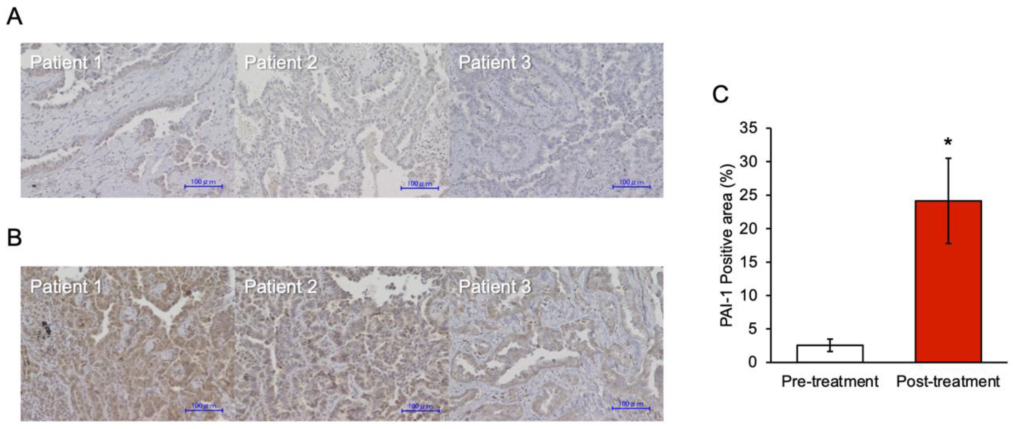 Cancers 15 01092 g006 Cancers 15 01092 g006