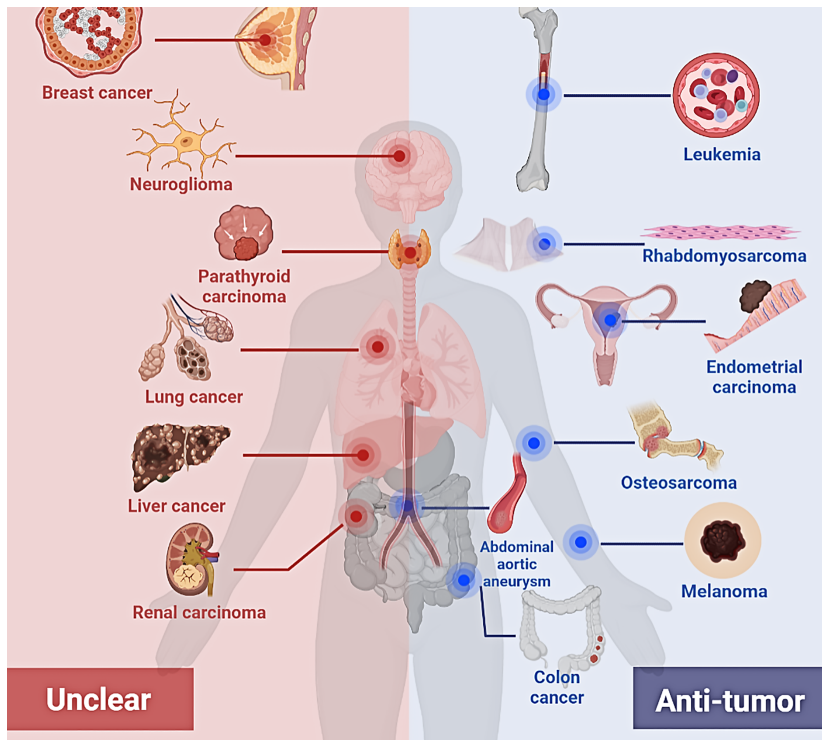 Cancers 15 01095 g003 Cancers 15 01095 g003