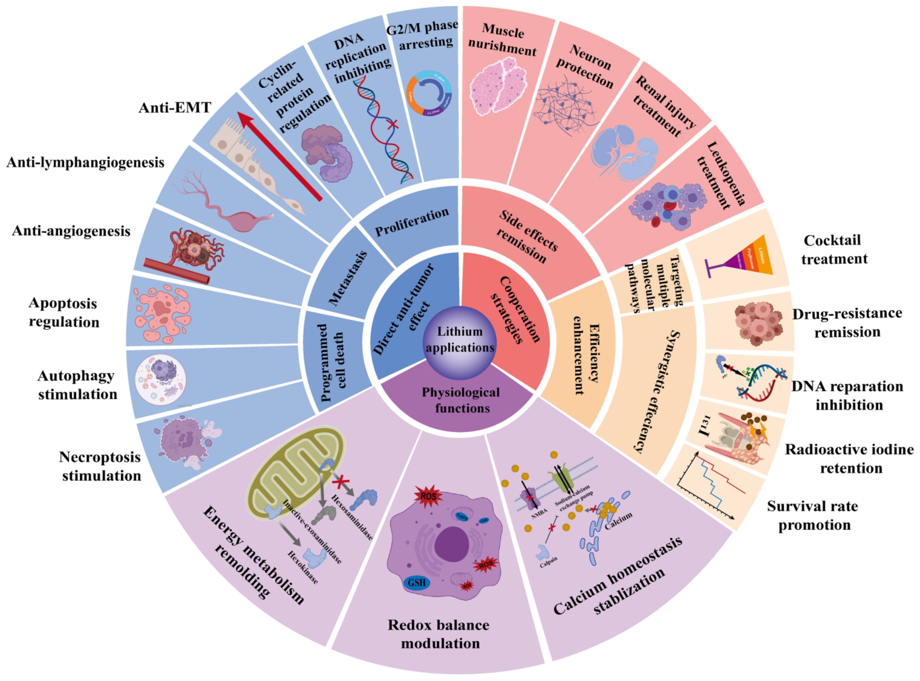 Cancers 15 01095 g004 Cancers 15 01095 g004