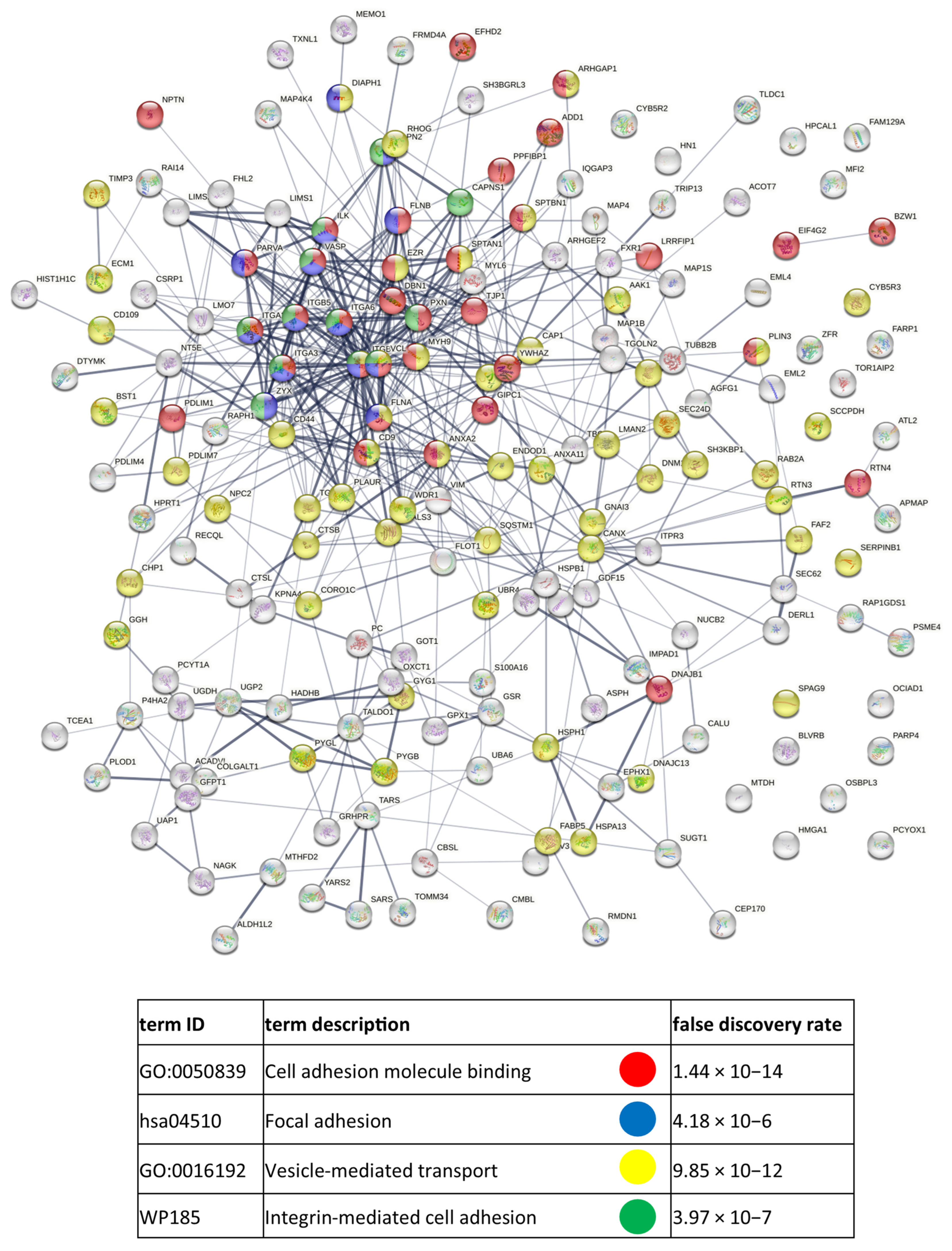 Cancers 15 01097 g0a9
