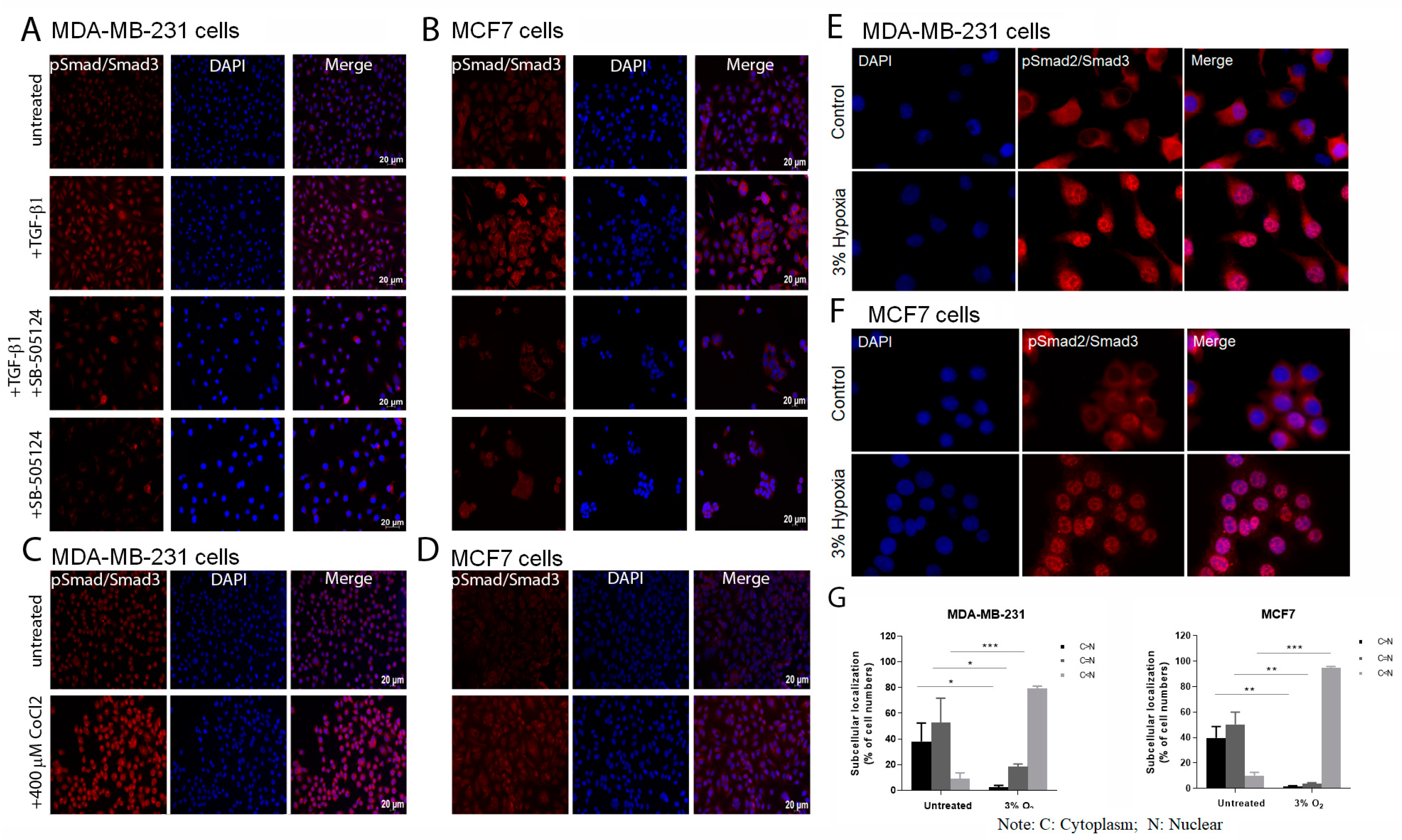 Cancers 15 01108 g001 550