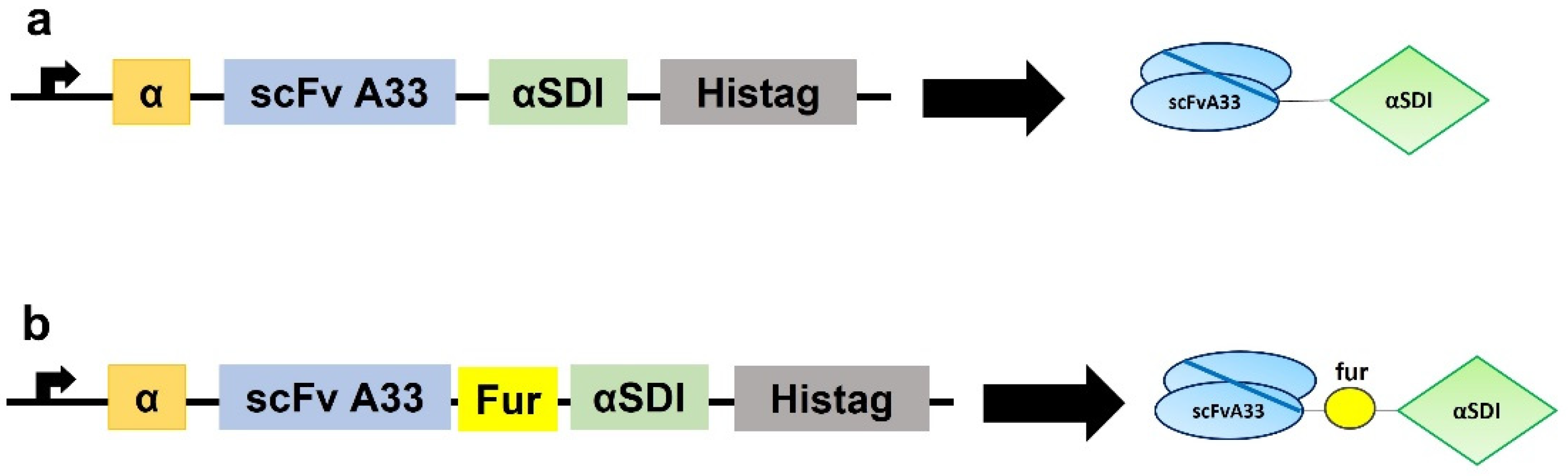 Cancers 15 01114 g001 Cancers 15 01114 g001