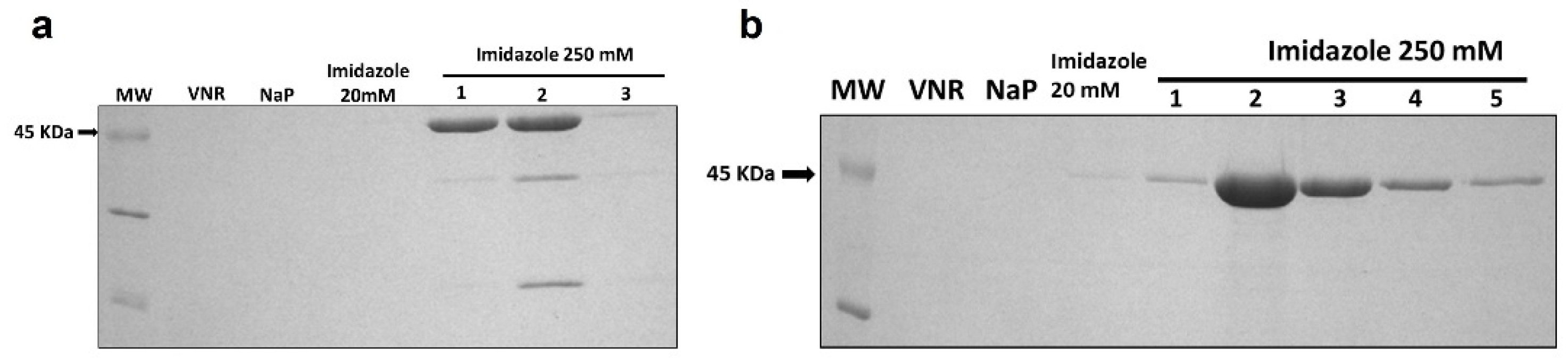 Cancers 15 01114 g002 Cancers 15 01114 g002