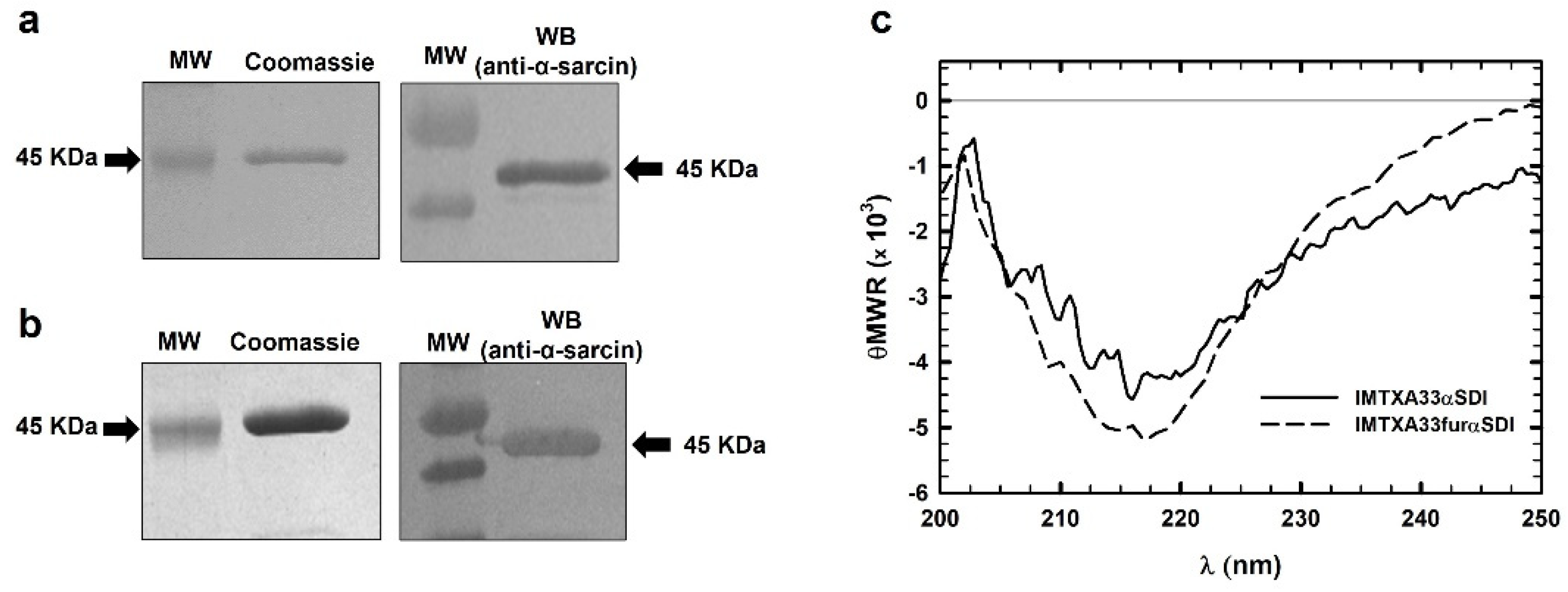 Cancers 15 01114 g003 Cancers 15 01114 g003