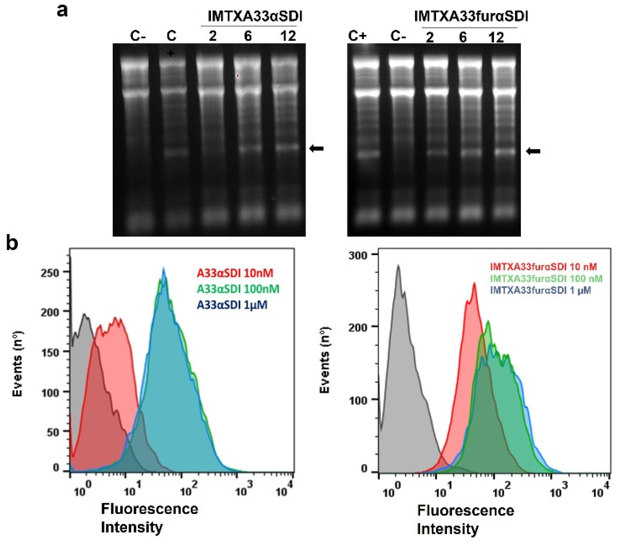 Cancers 15 01114 g004 Cancers 15 01114 g004