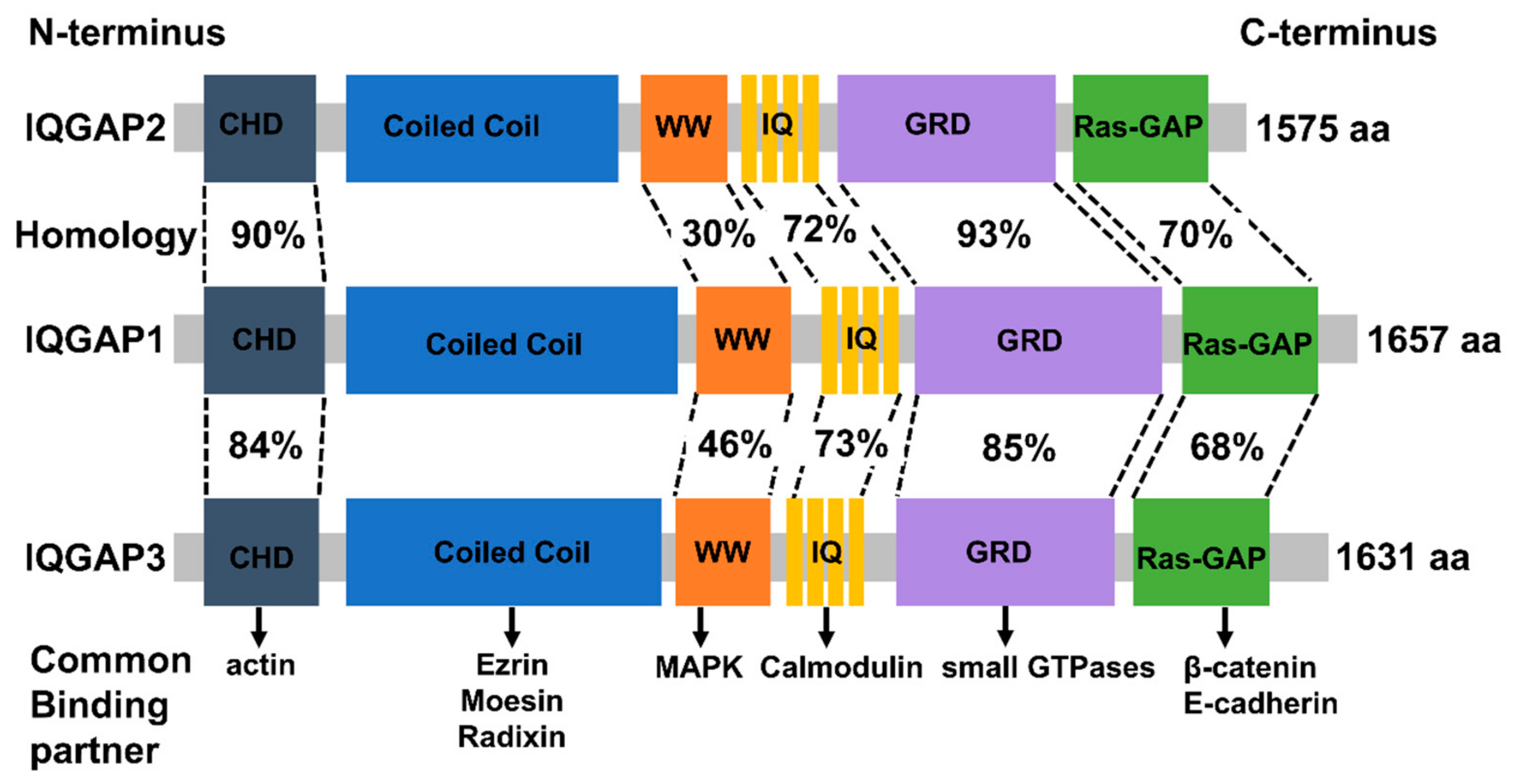 Cancers 15 01115 g001