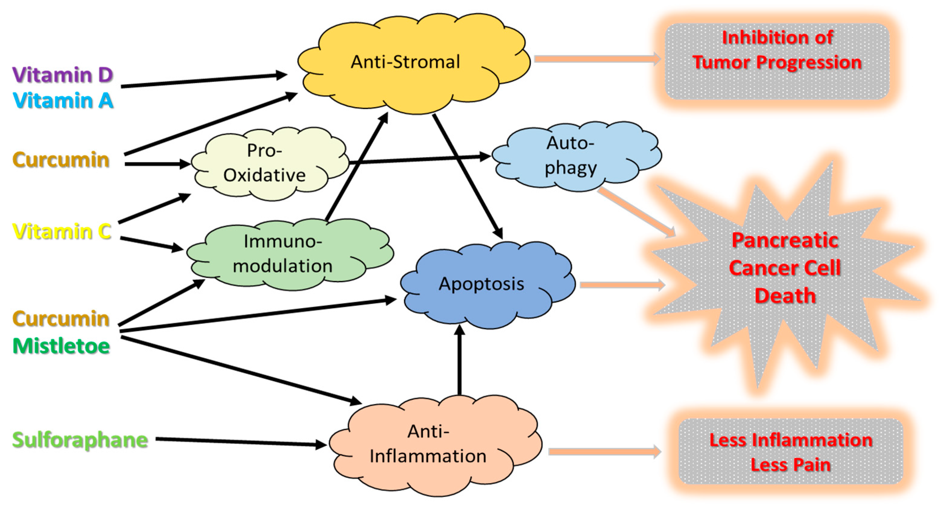 Cancers 15 01116 g002