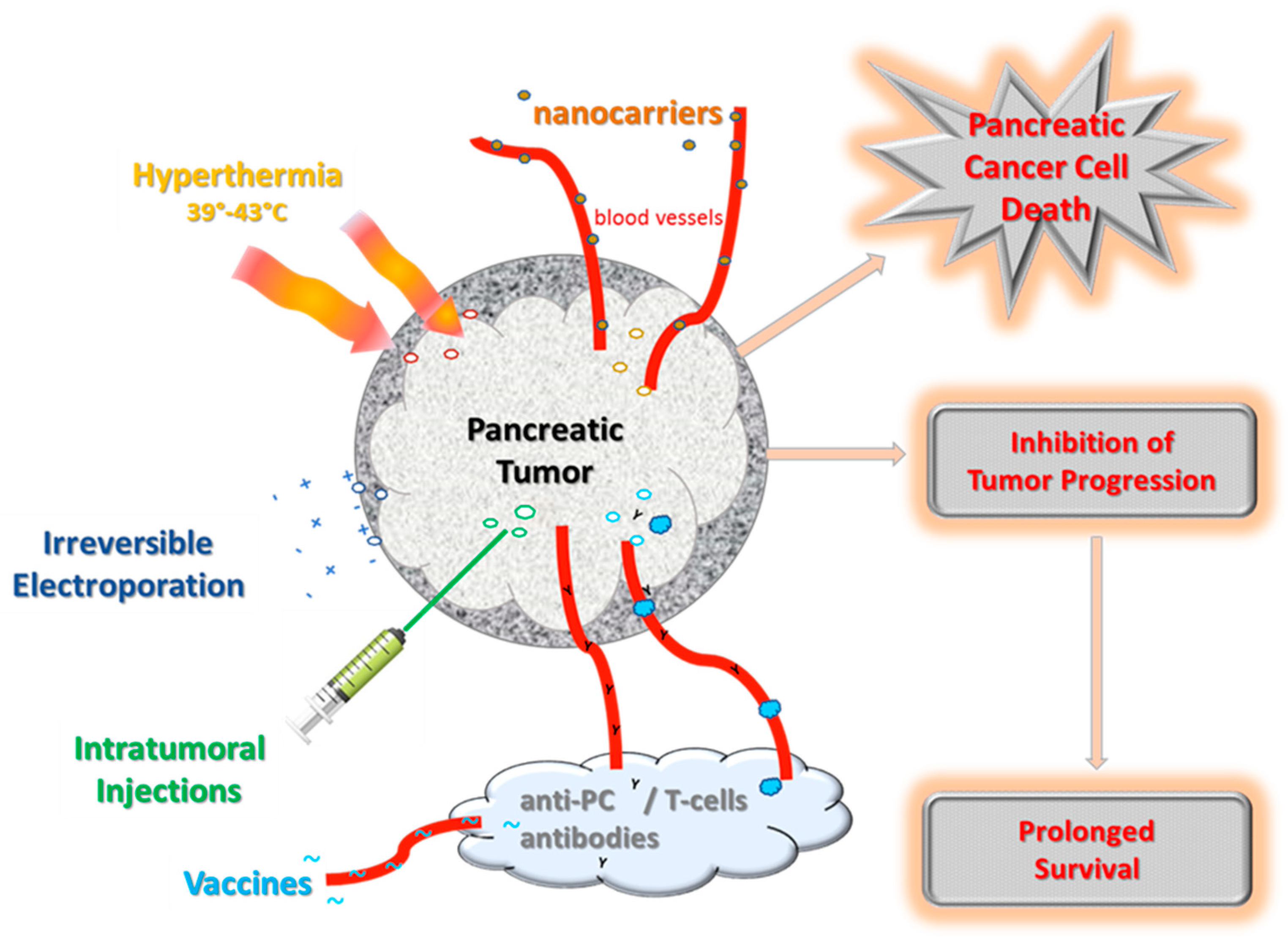 Cancers 15 01116 g003