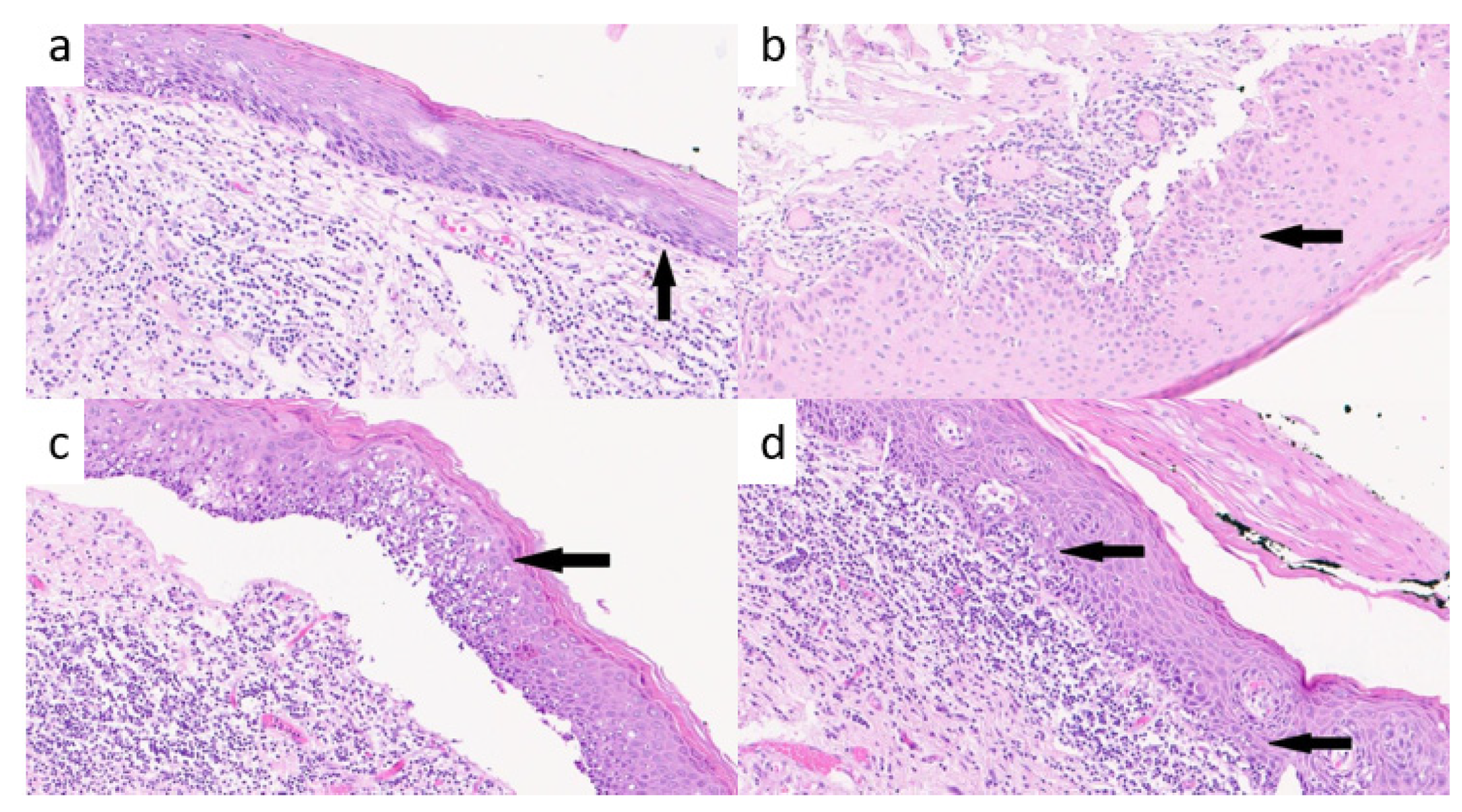 Cancers 15 01117 g001