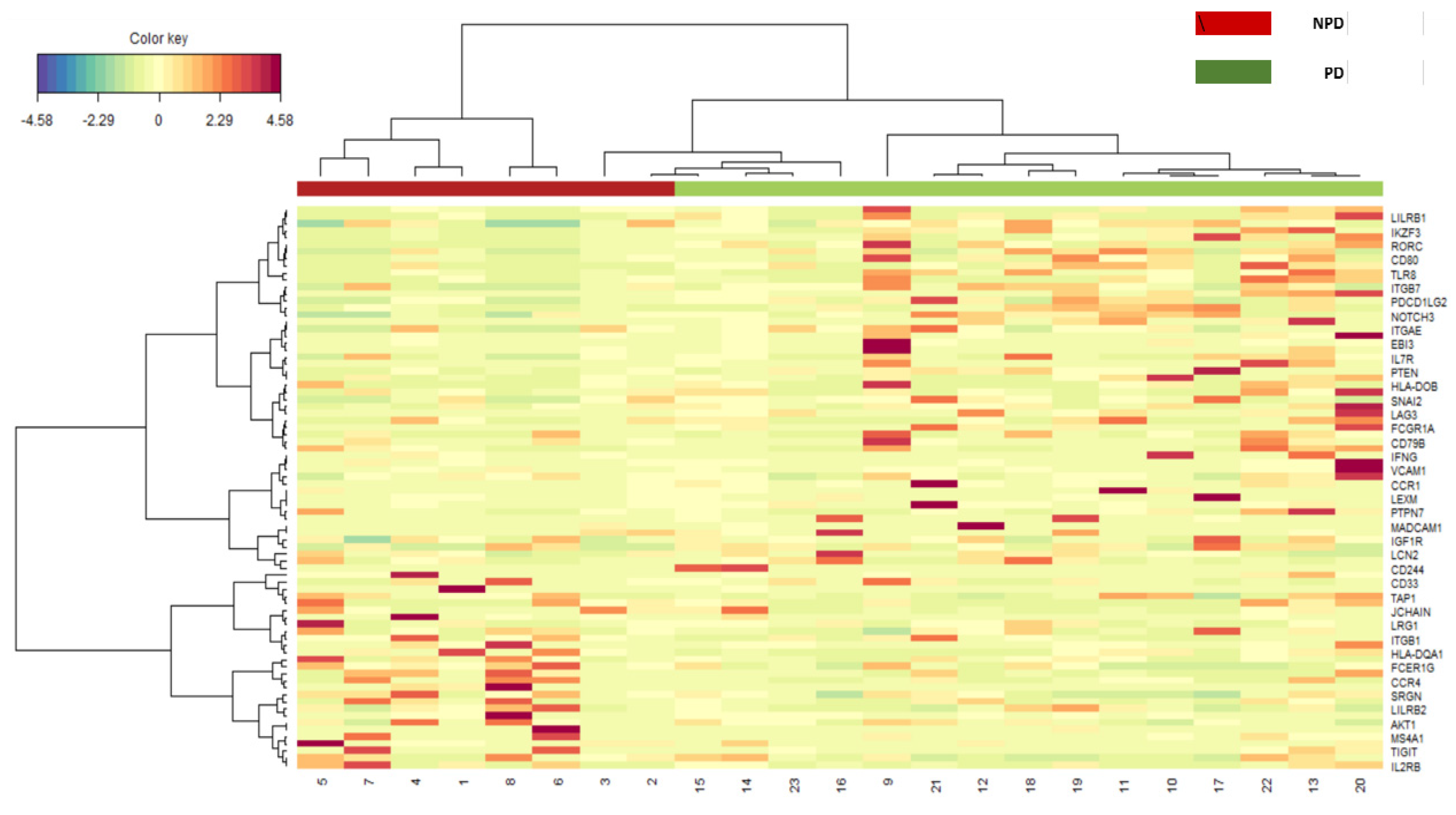 Cancers 15 01117 g003