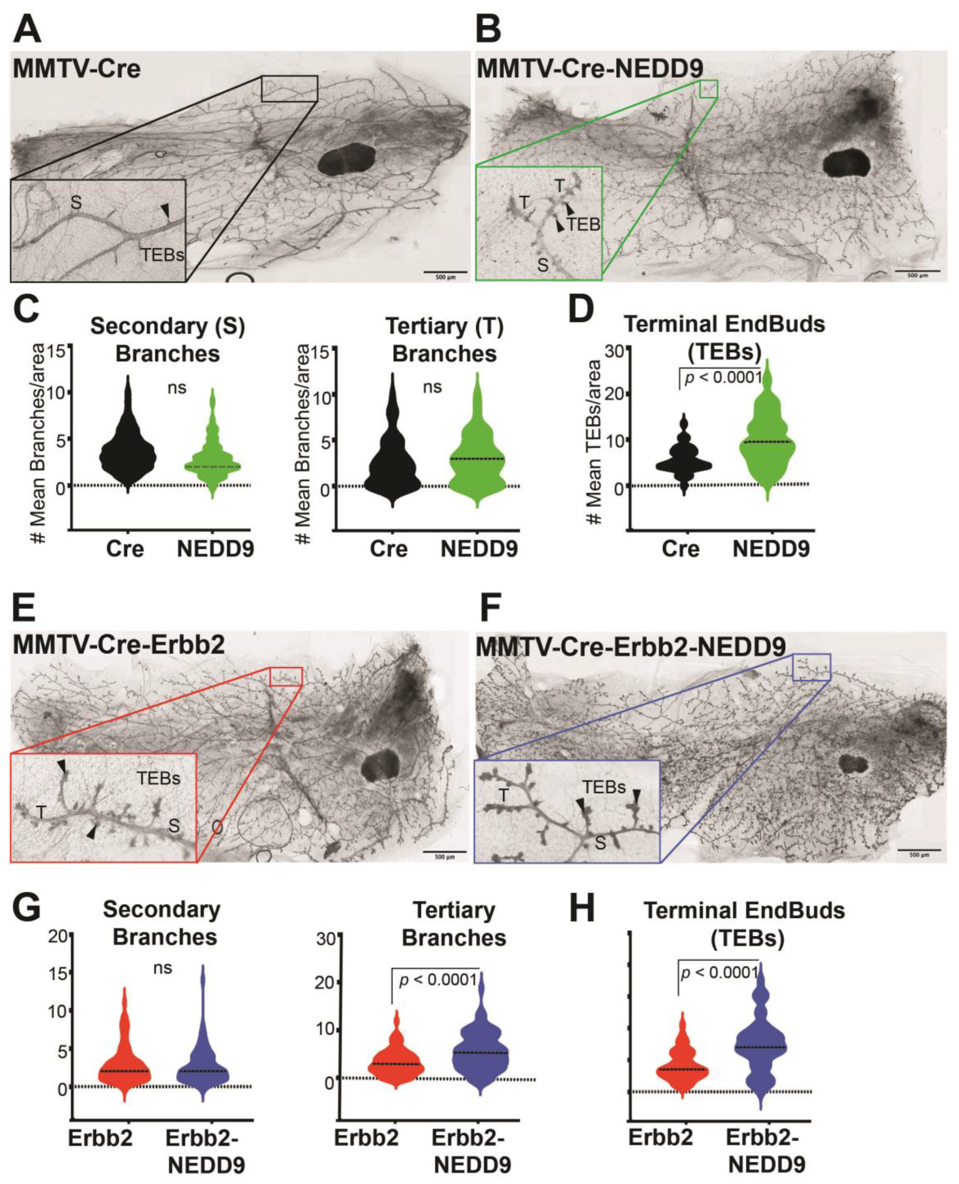 Cancers 15 01119 g003
