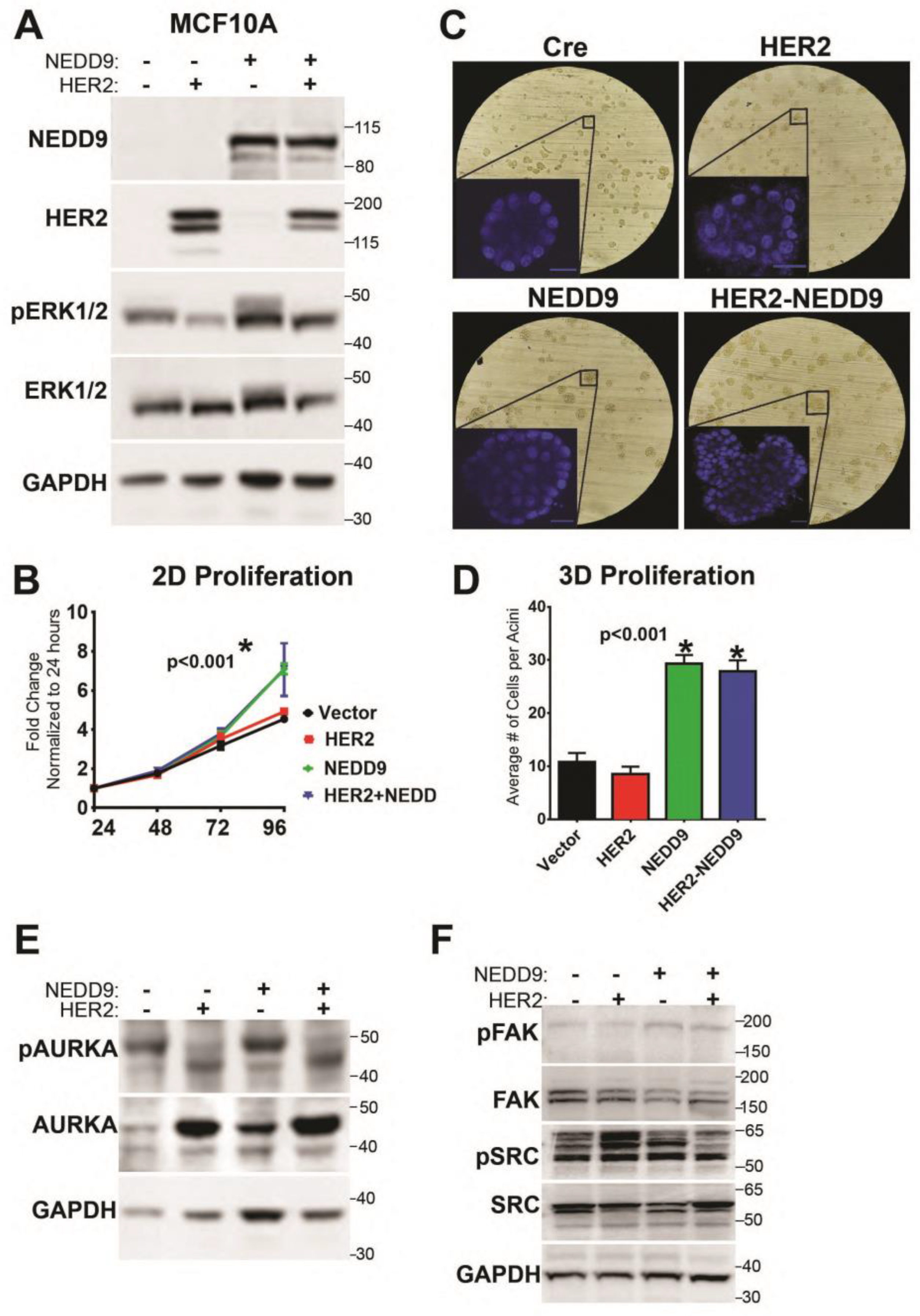 Cancers 15 01119 g007