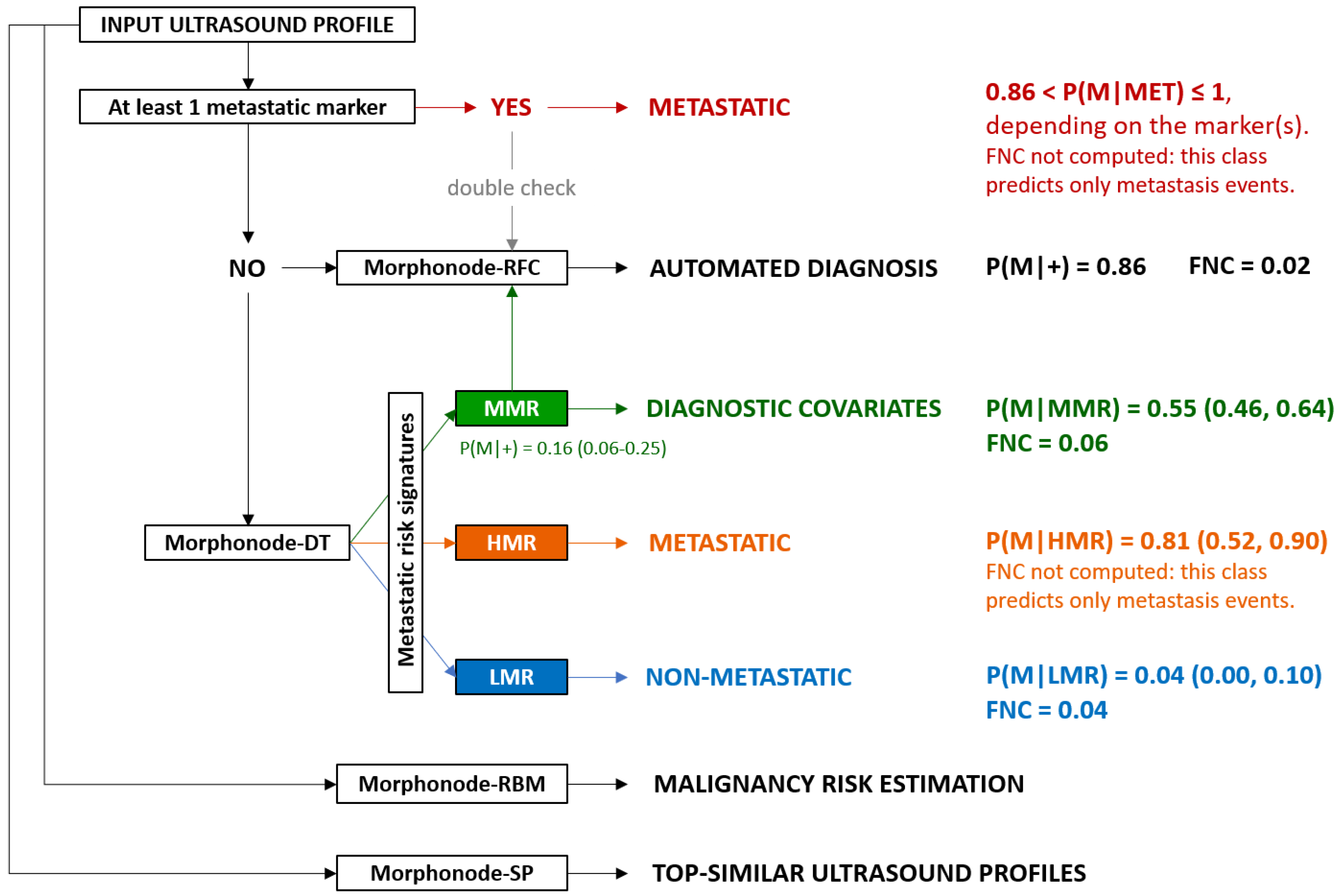 Cancers 15 01121 g008