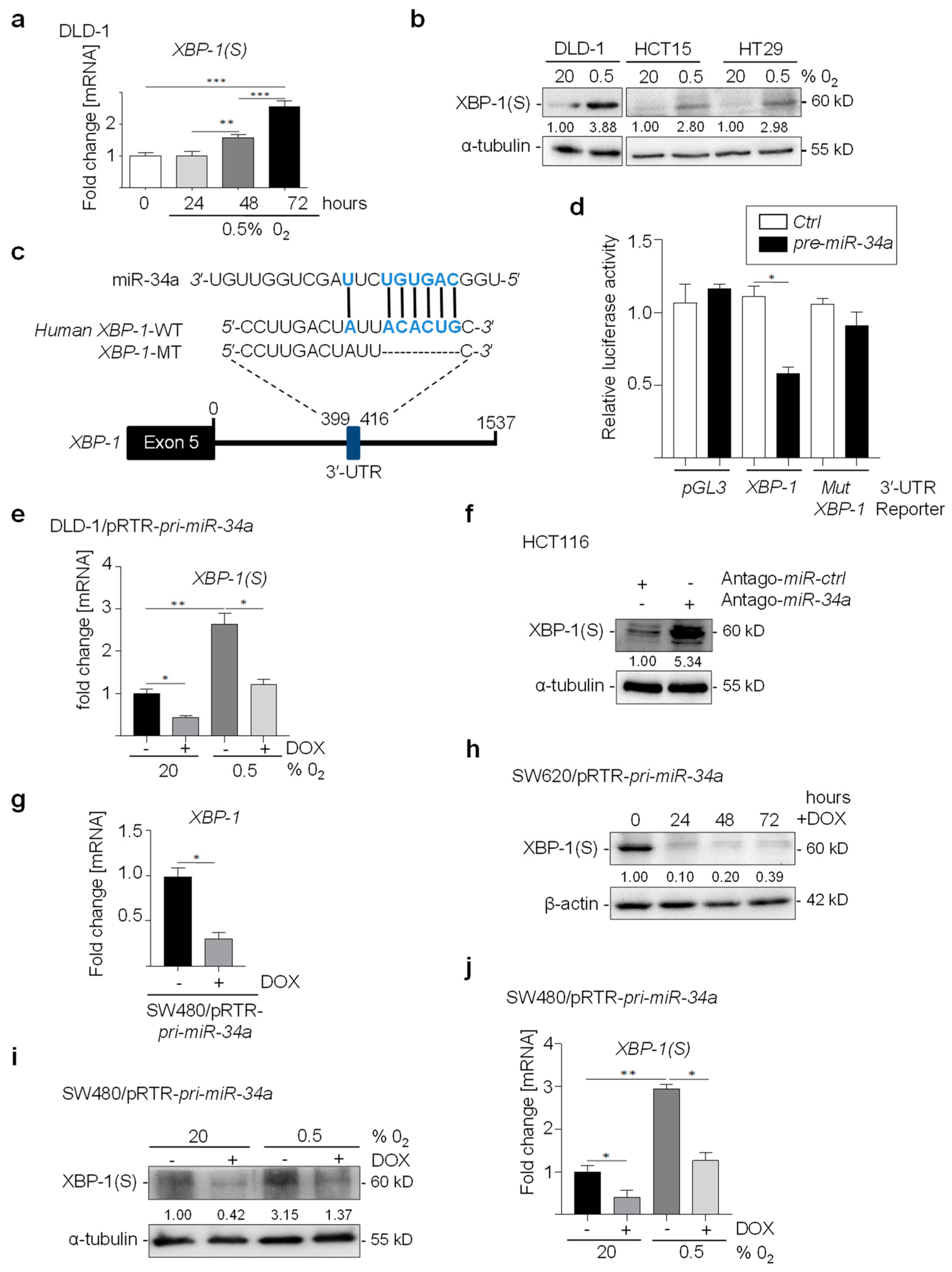 Cancers 15 01143 g001