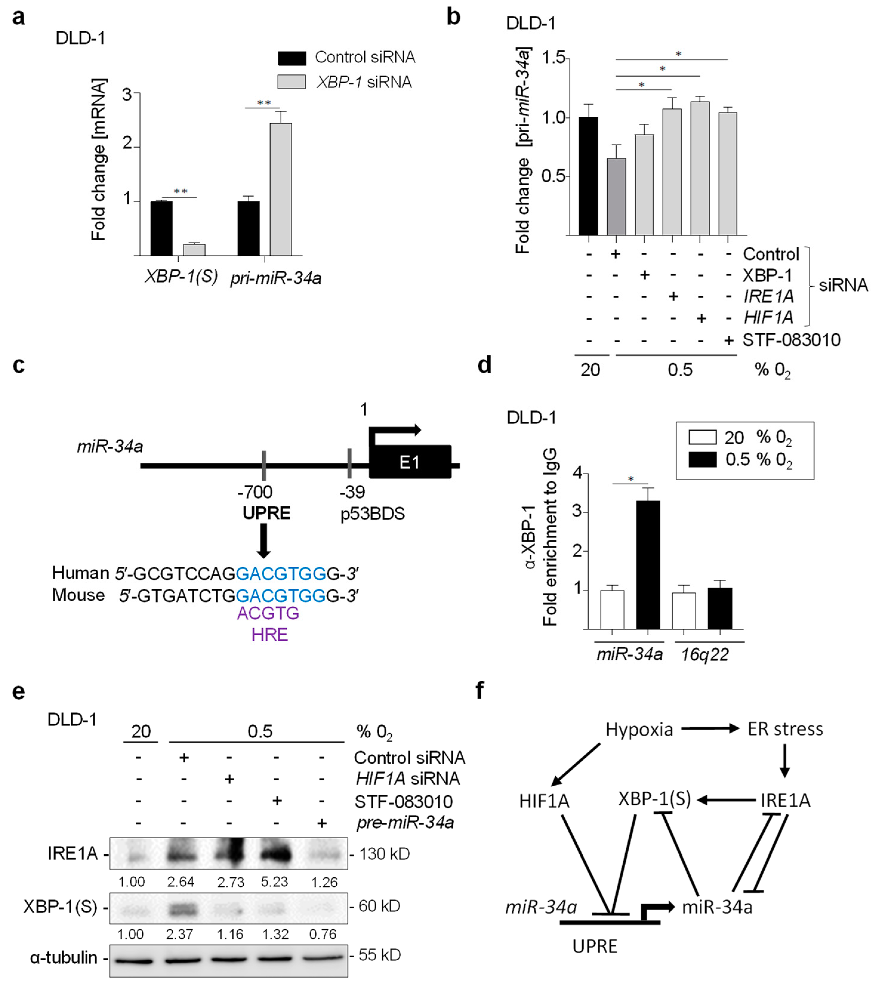 Cancers 15 01143 g005
