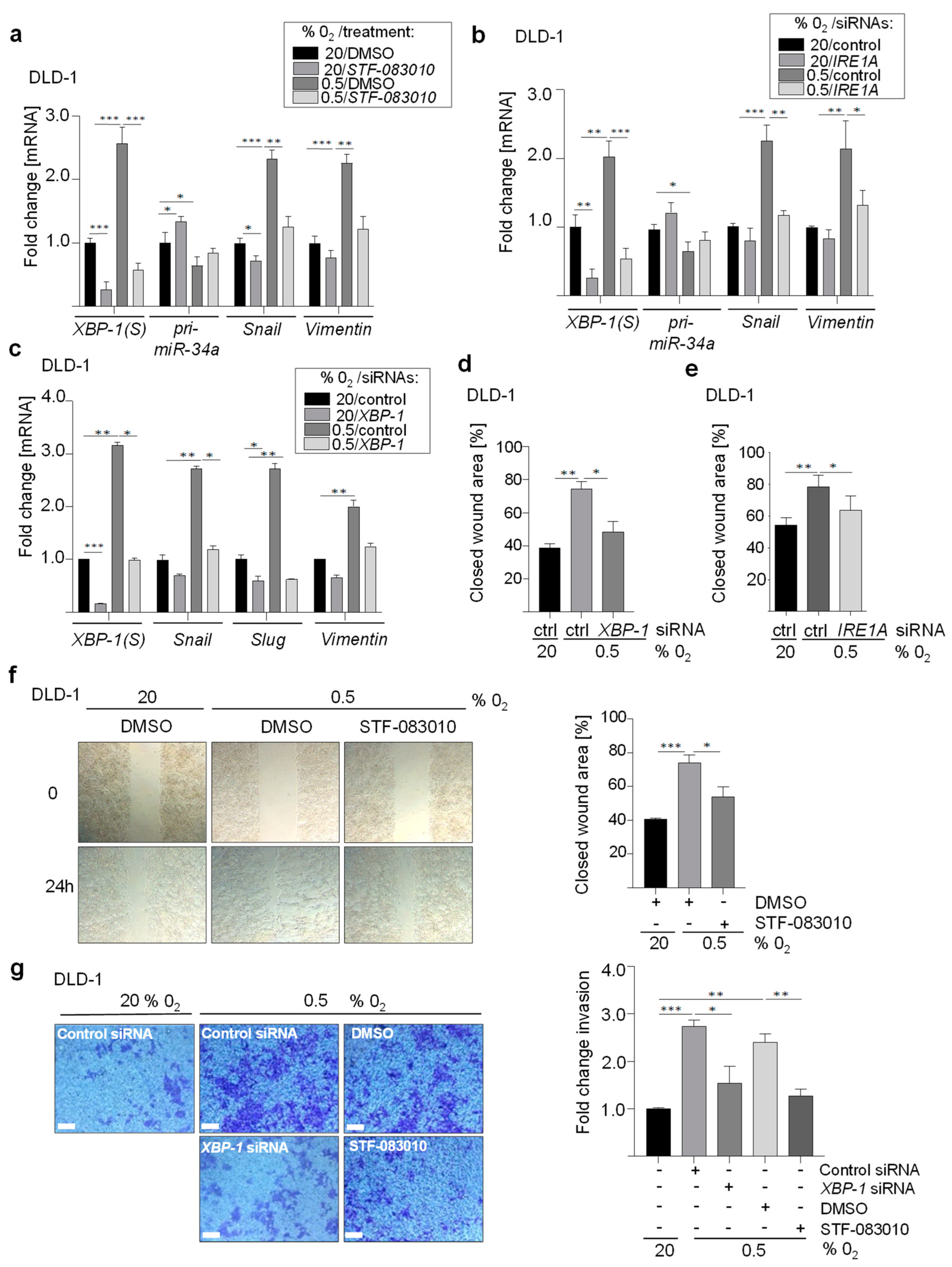 Cancers 15 01143 g006