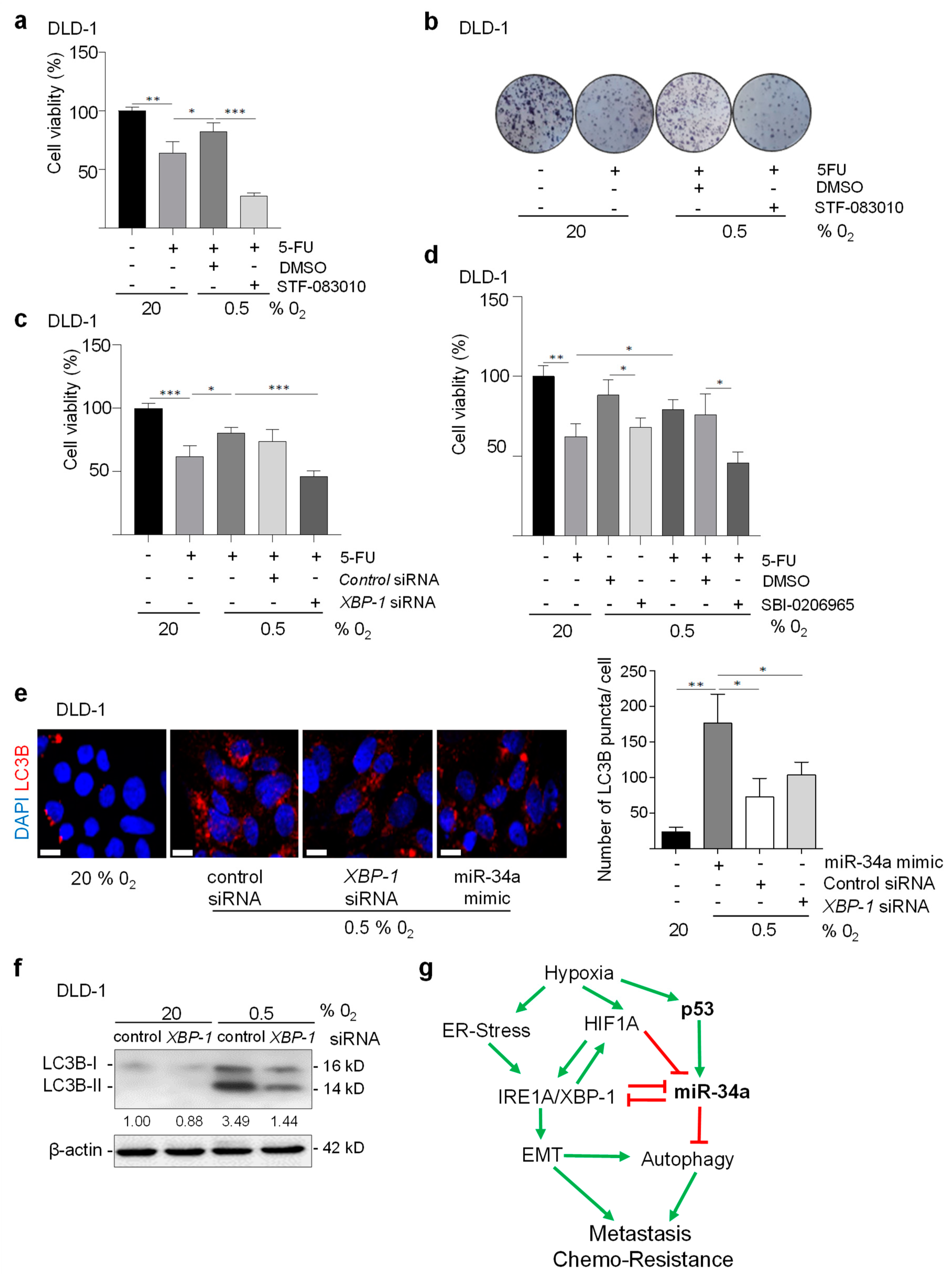 Cancers 15 01143 g008