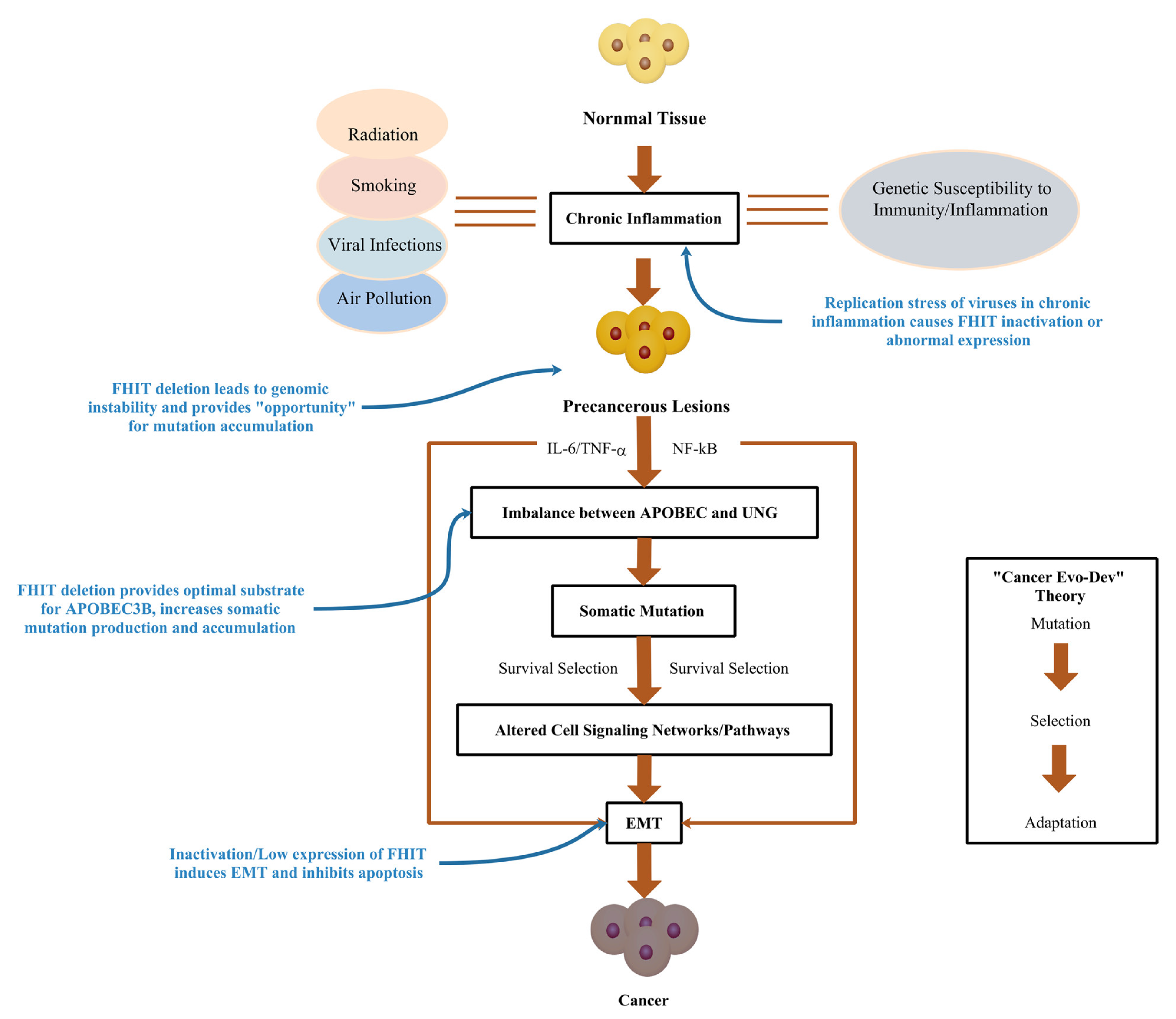 13.  M. Thakur'S Controversial Cancer Theory Explained - ixp3iv5