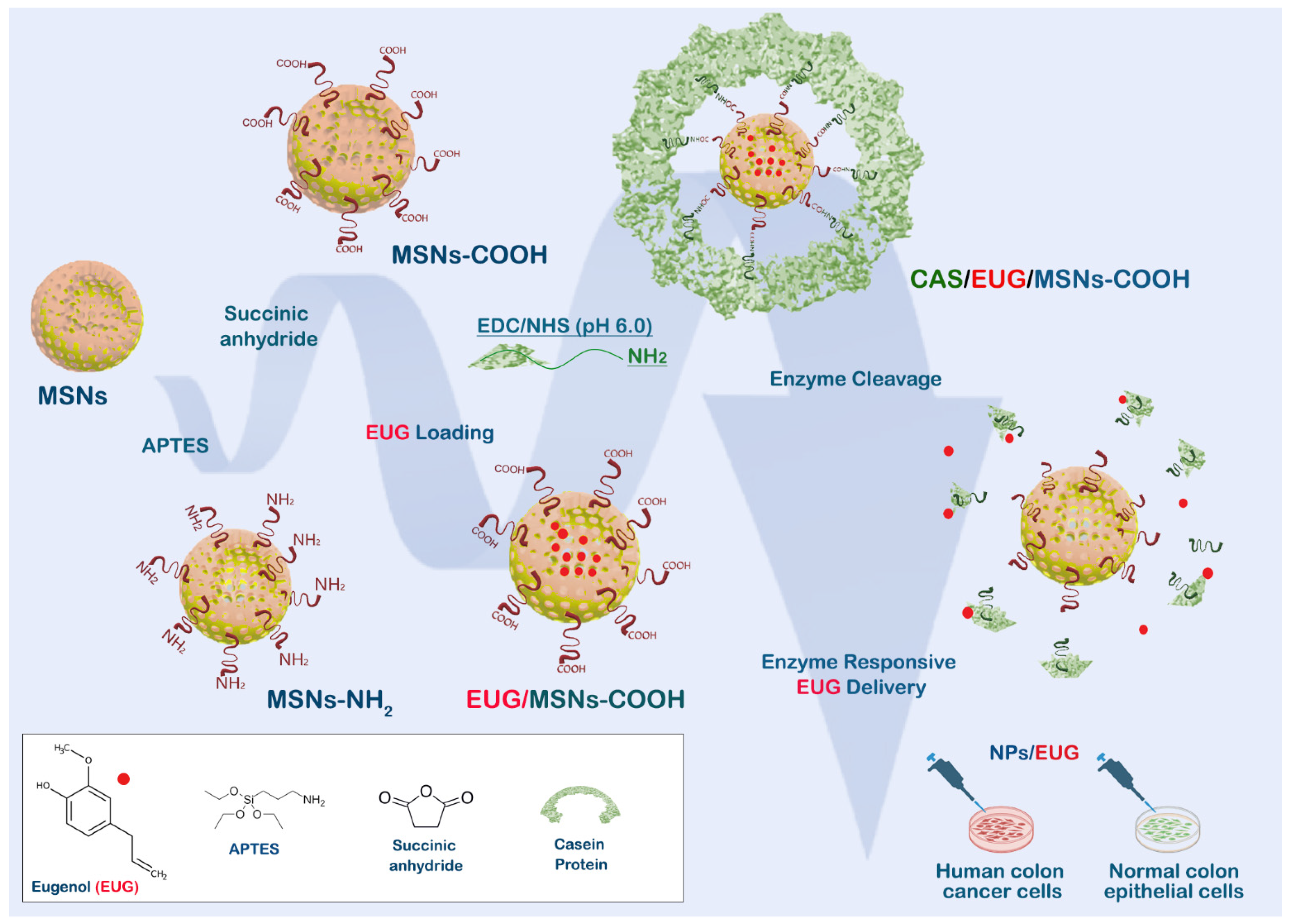 Cancers 15 01145 g001