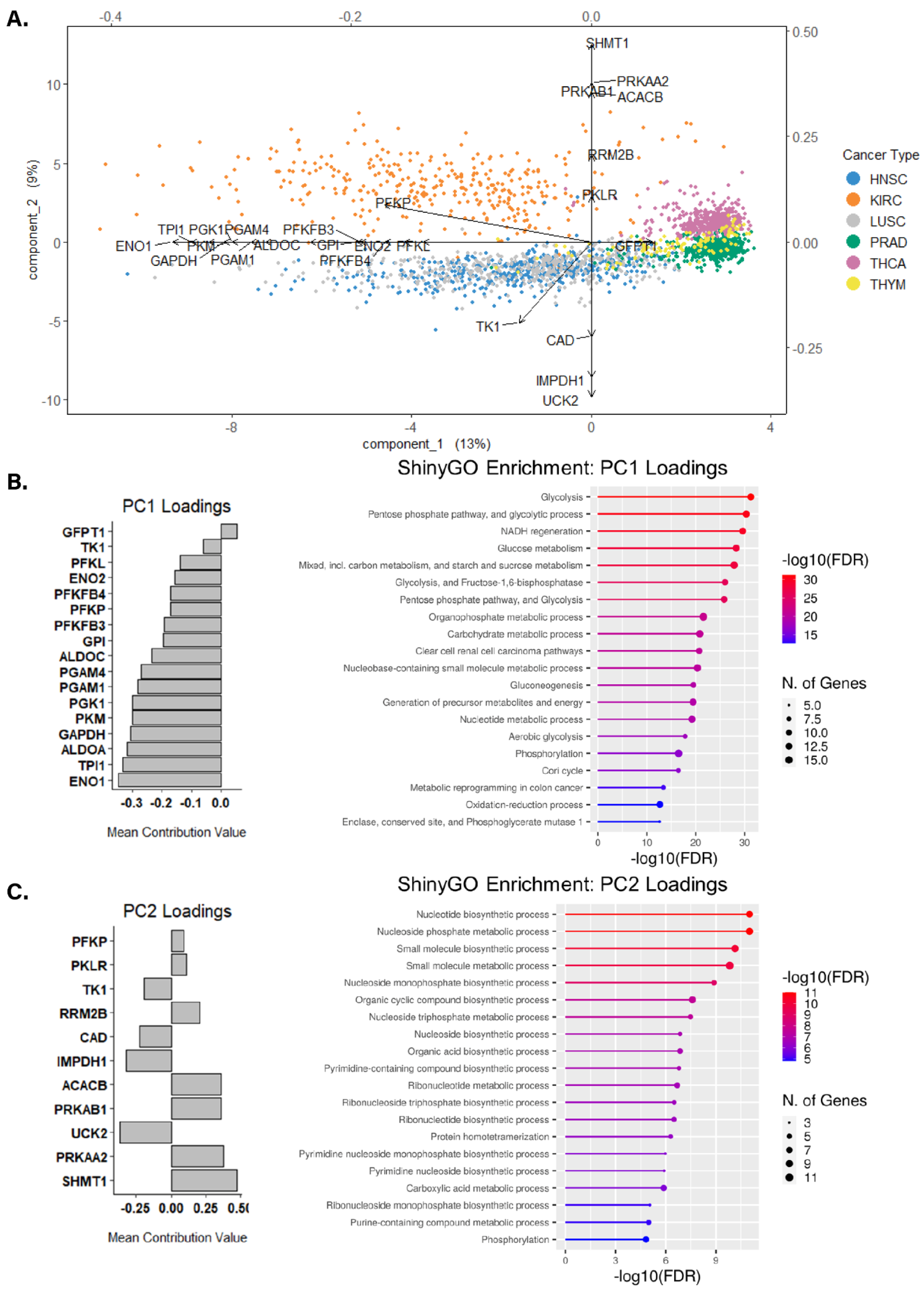 Cancers 15 01158 g003 Cancers 15 01158 g003