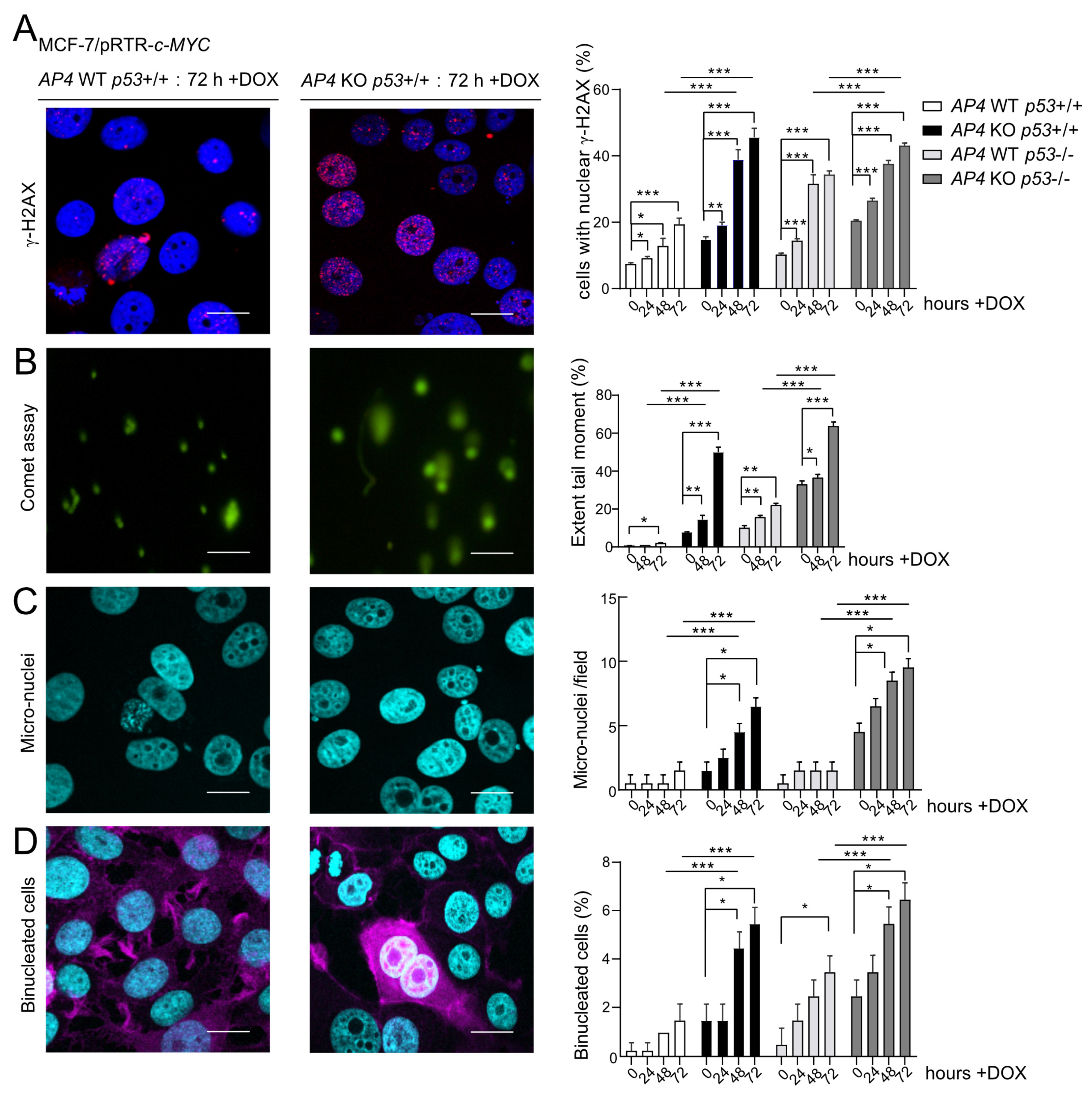 Cancers 15 01162 g004
