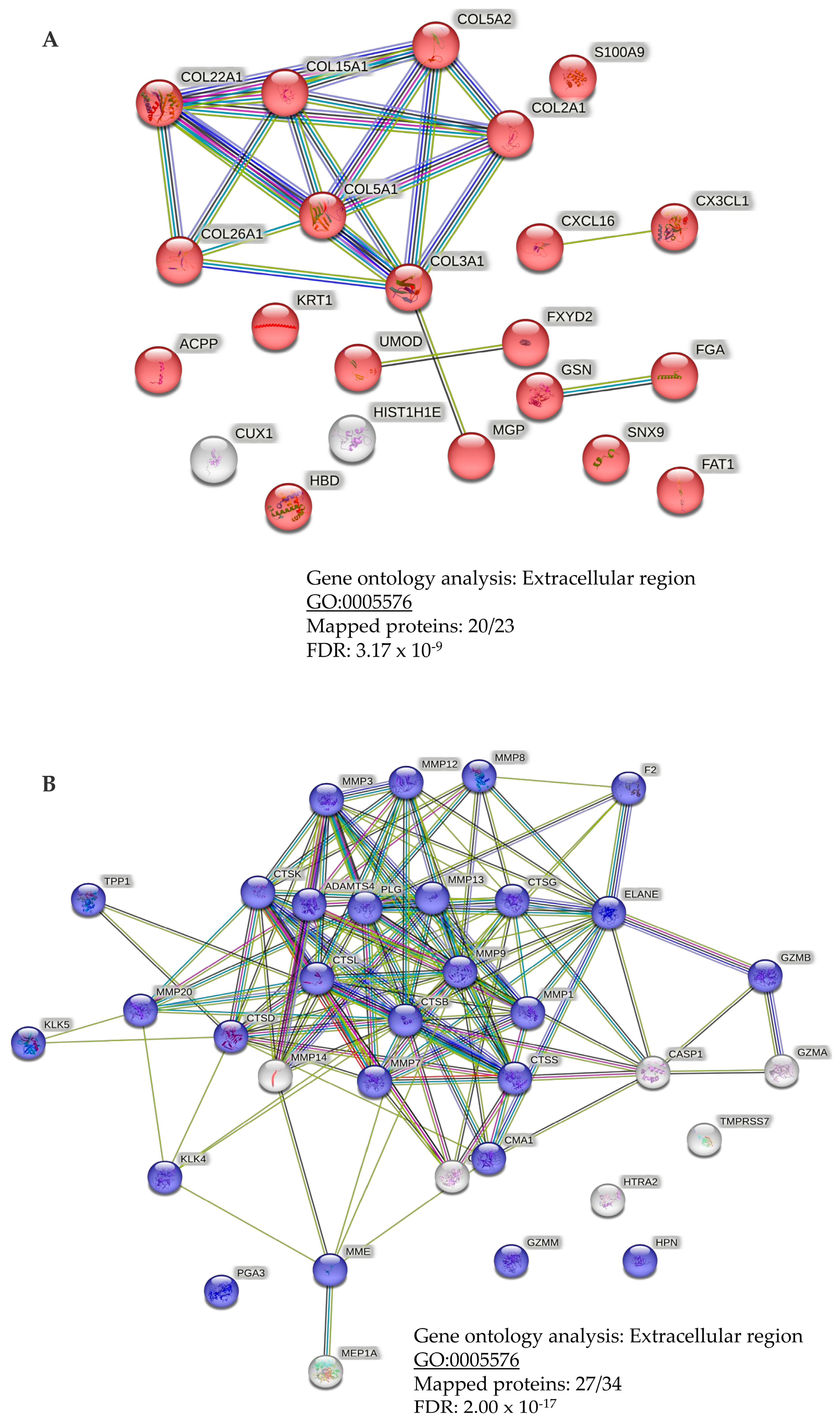 Cancers 15 01166 g007 Cancers 15 01166 g007