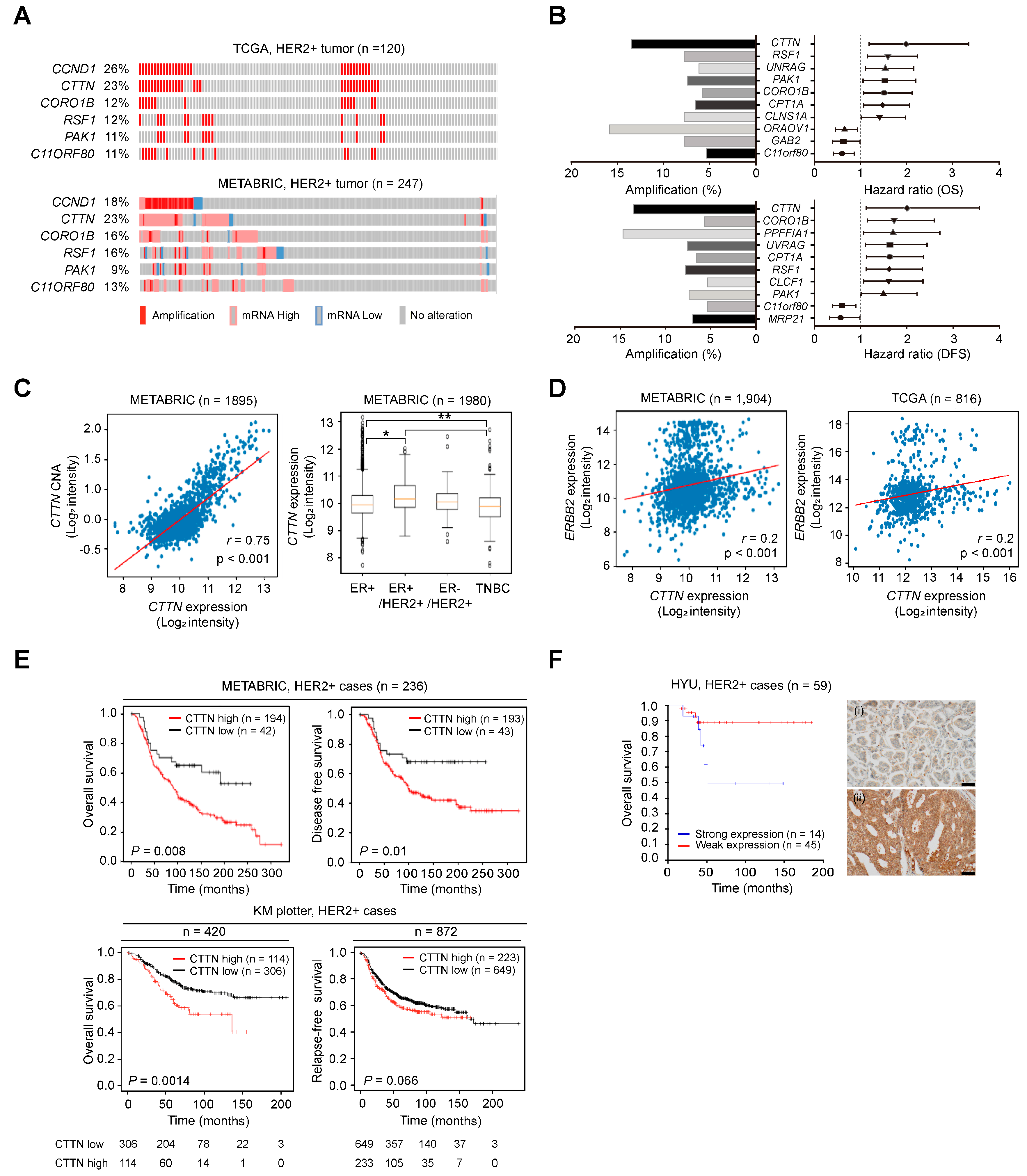 Cancers 15 01168 g001