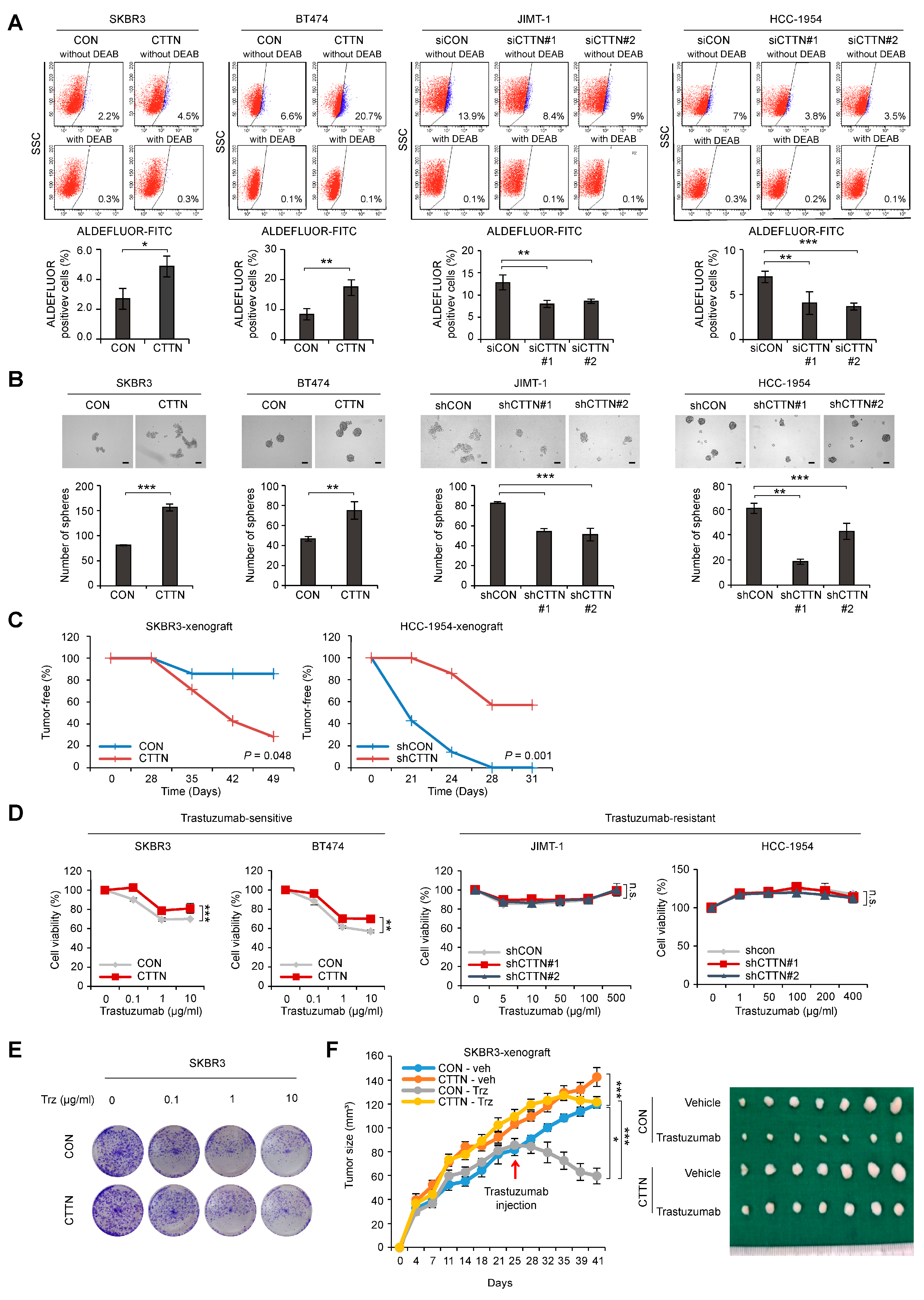 Cancers 15 01168 g002