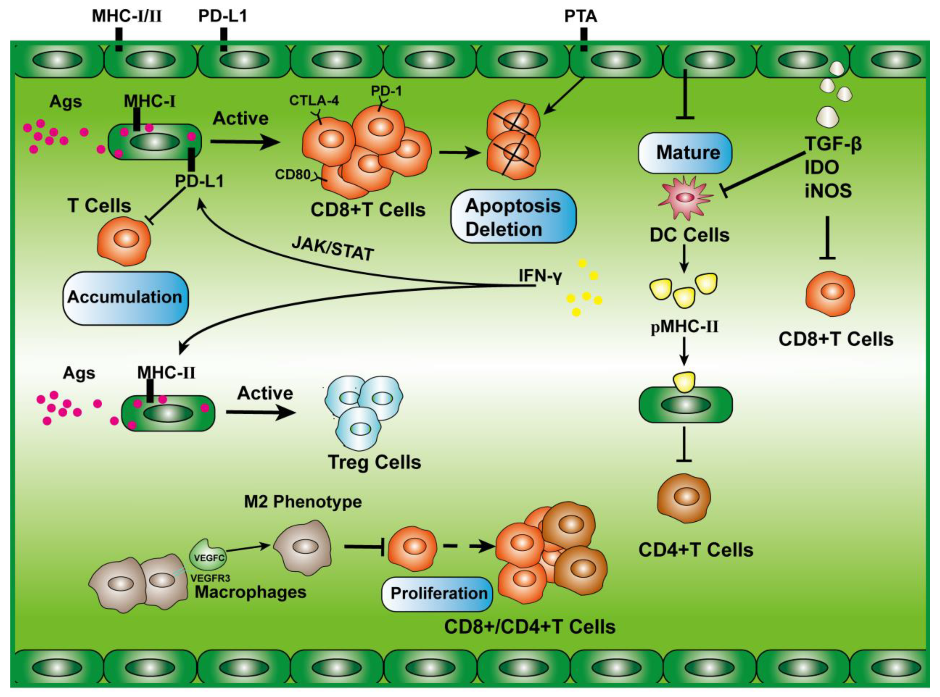 Cancers 15 01169 g004