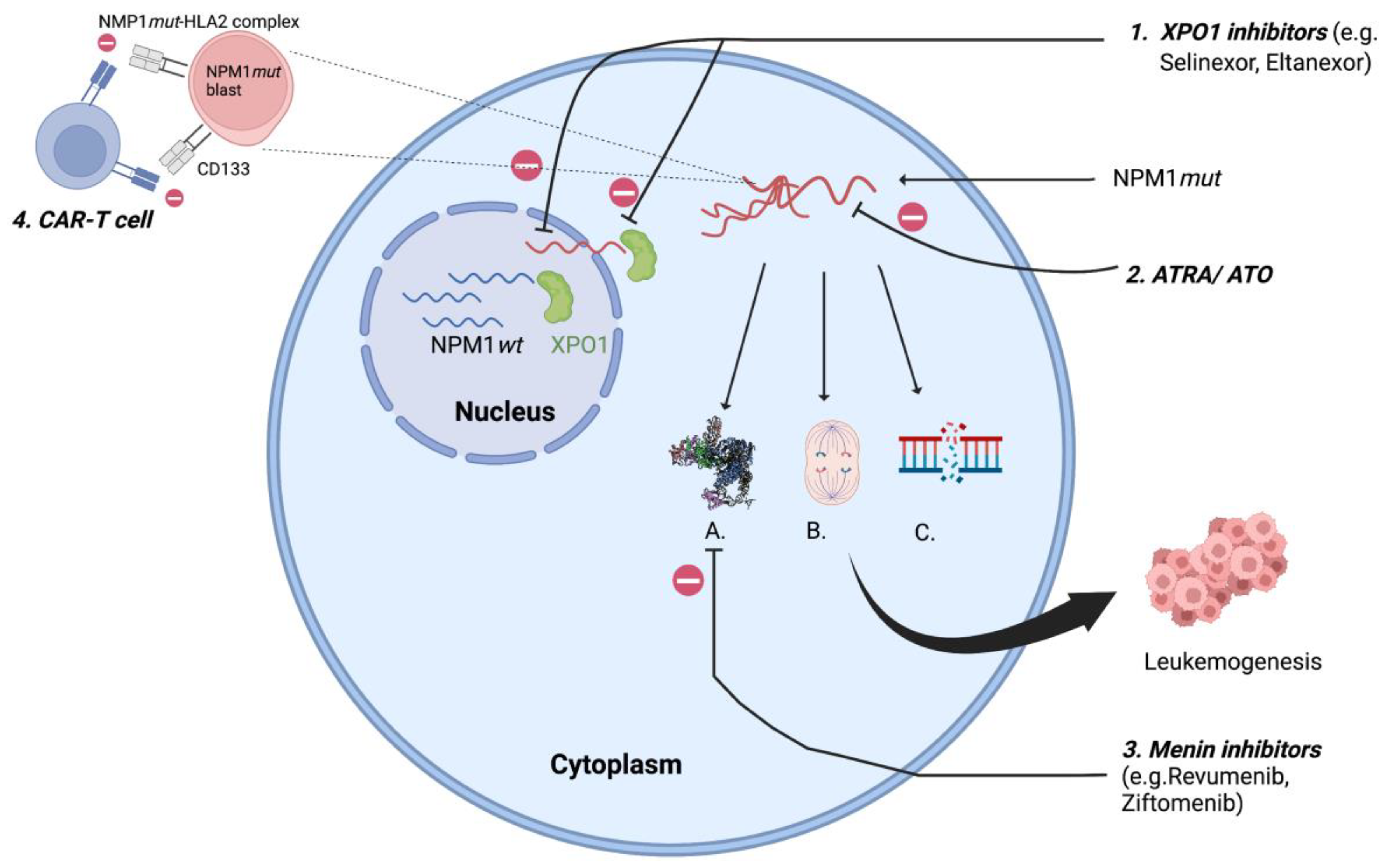 Cancers 15 01177 g001 Cancers 15 01177 g001