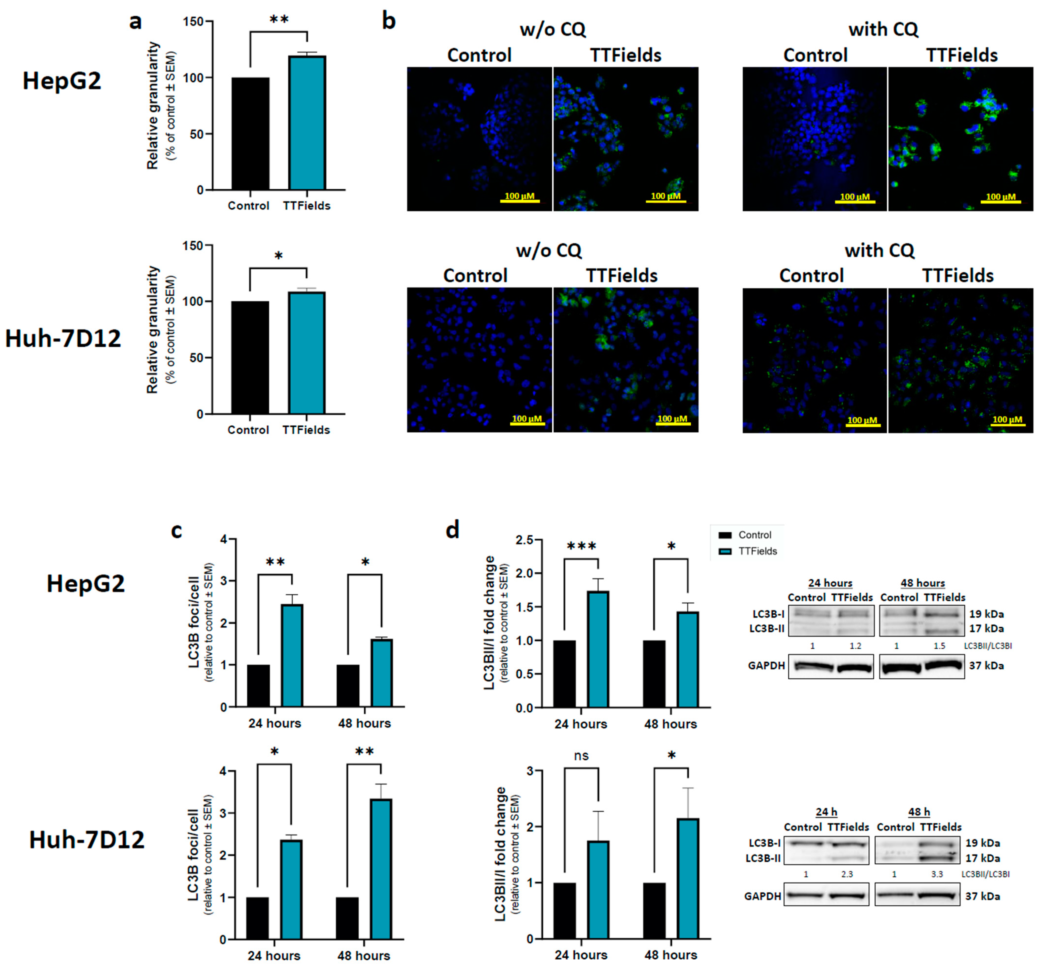 Cancers 15 01182 g002