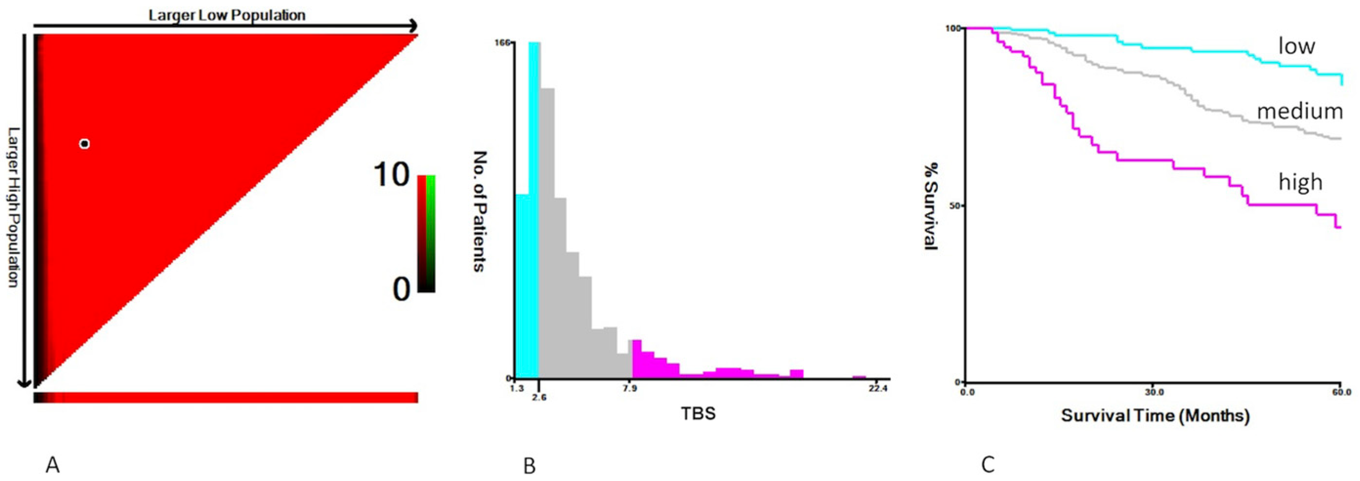 Cancers 15 01203 g001