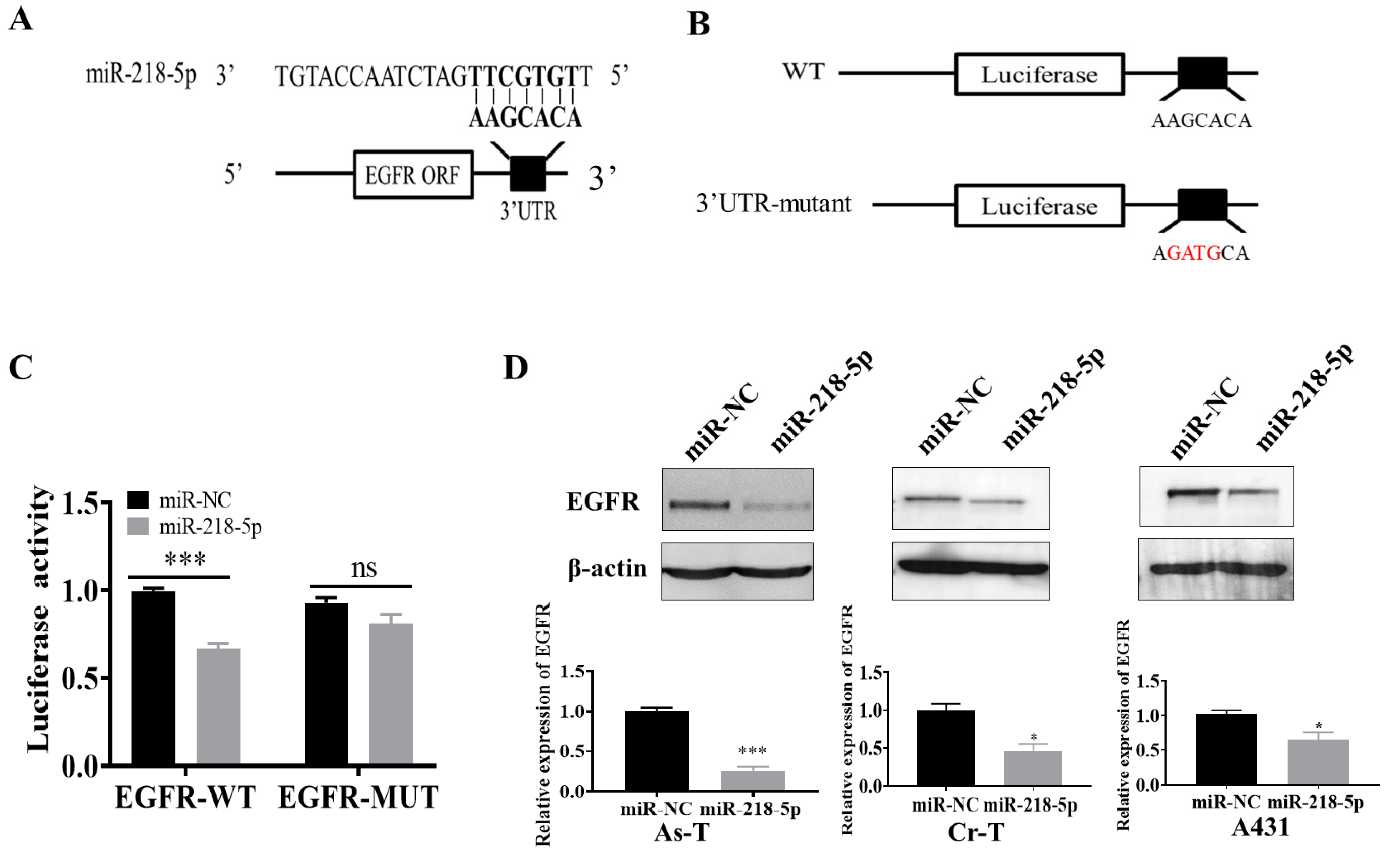 Cancers 15 01204 g003 Cancers 15 01204 g003