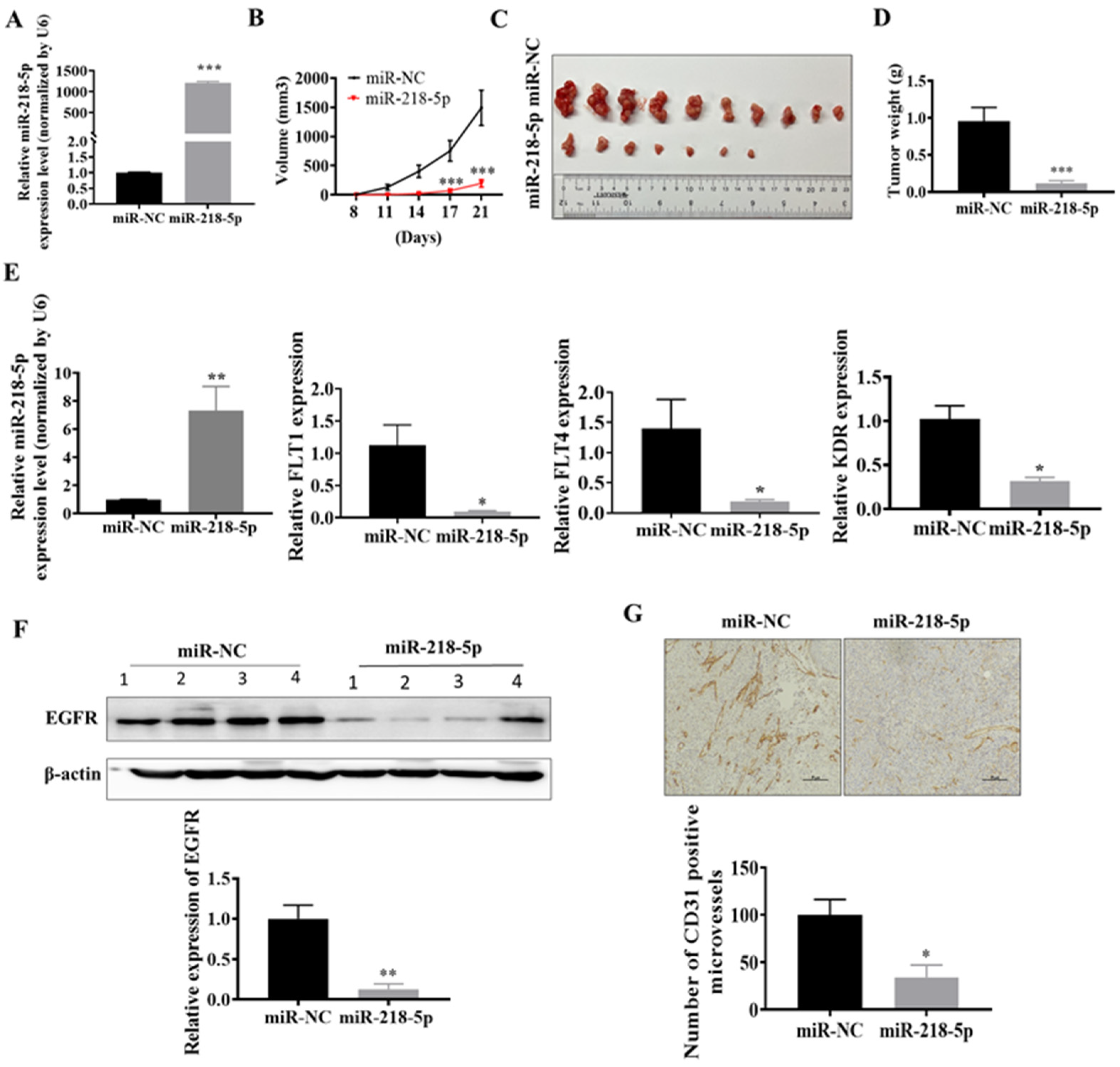 Cancers 15 01204 g004 Cancers 15 01204 g004