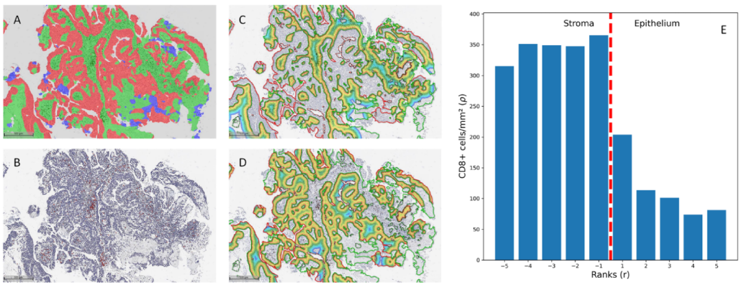 Cancers 15 01205 g001 Cancers 15 01205 g001