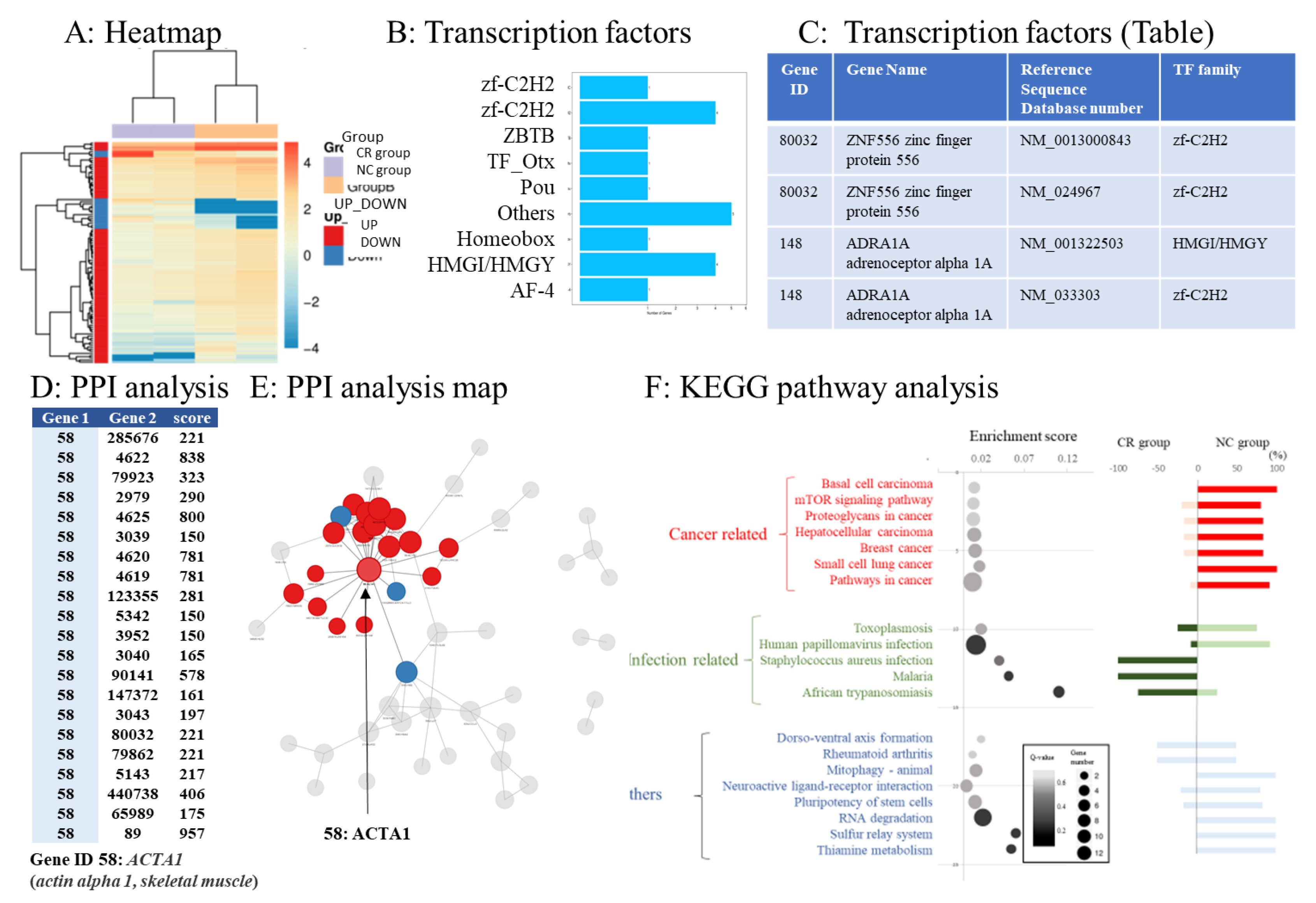 Cancers 15 01206 g003 Cancers 15 01206 g003