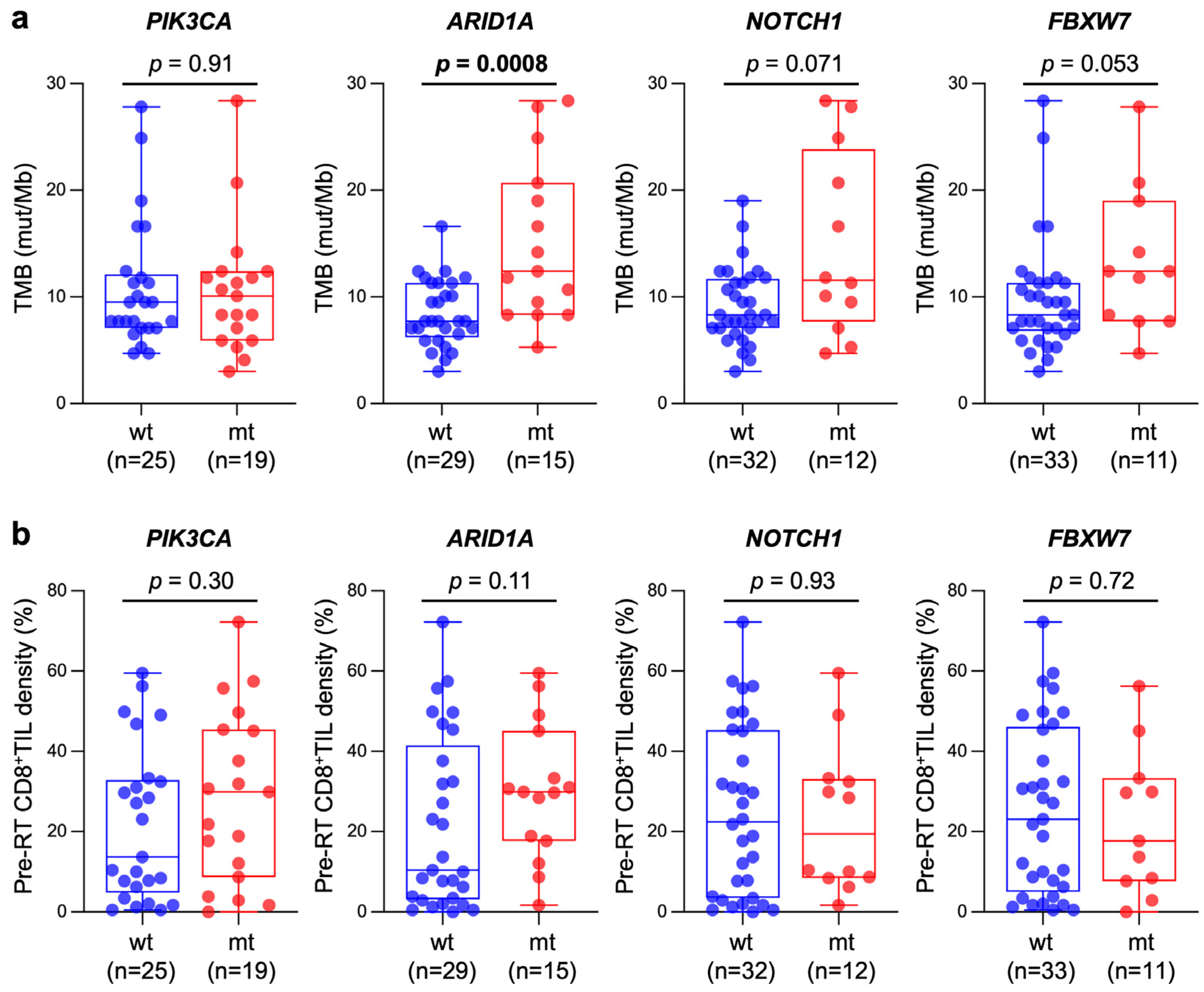Cancers 15 01210 g004 Cancers 15 01210 g004