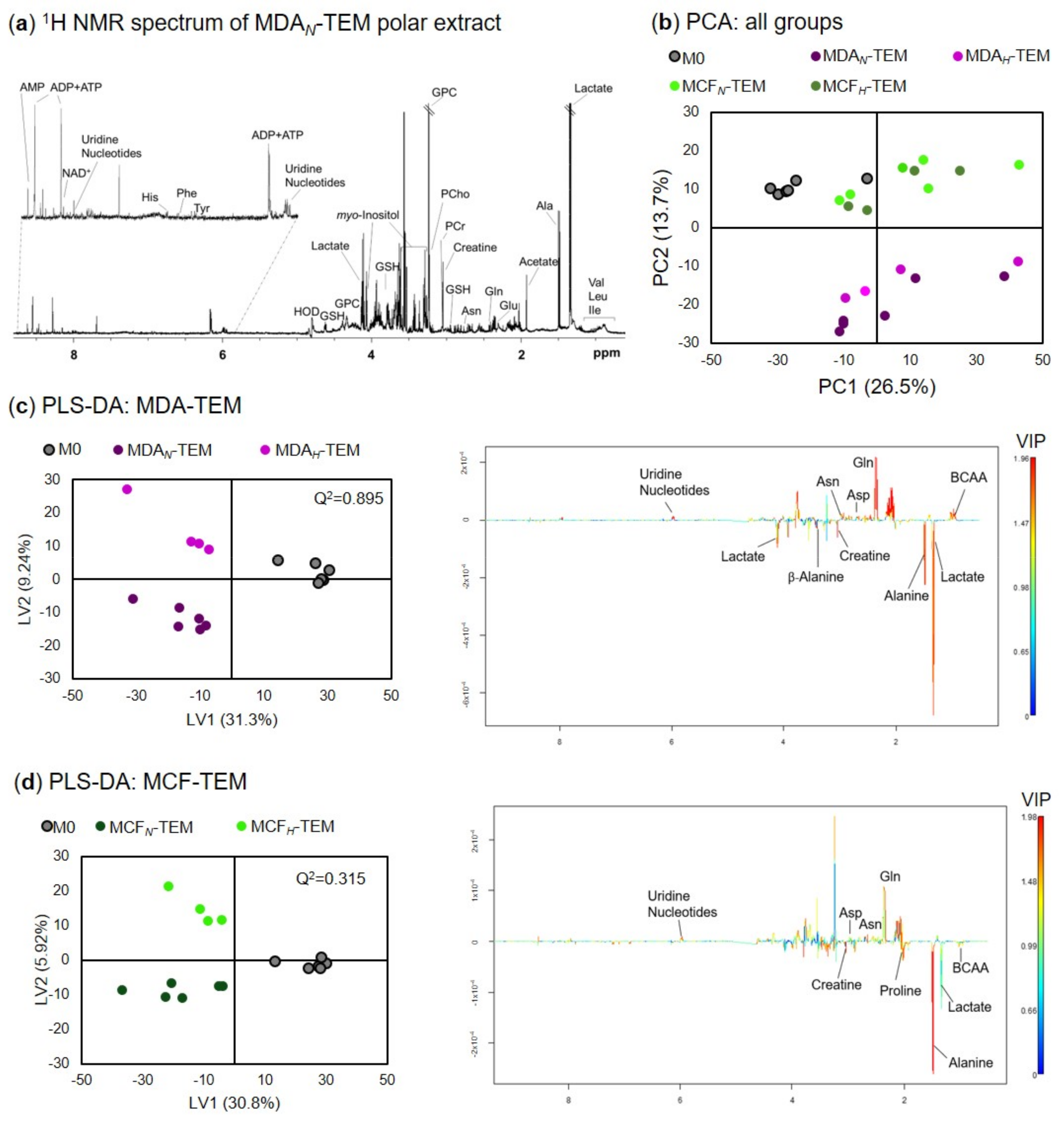 Cancers 15 01211 g005 Cancers 15 01211 g005