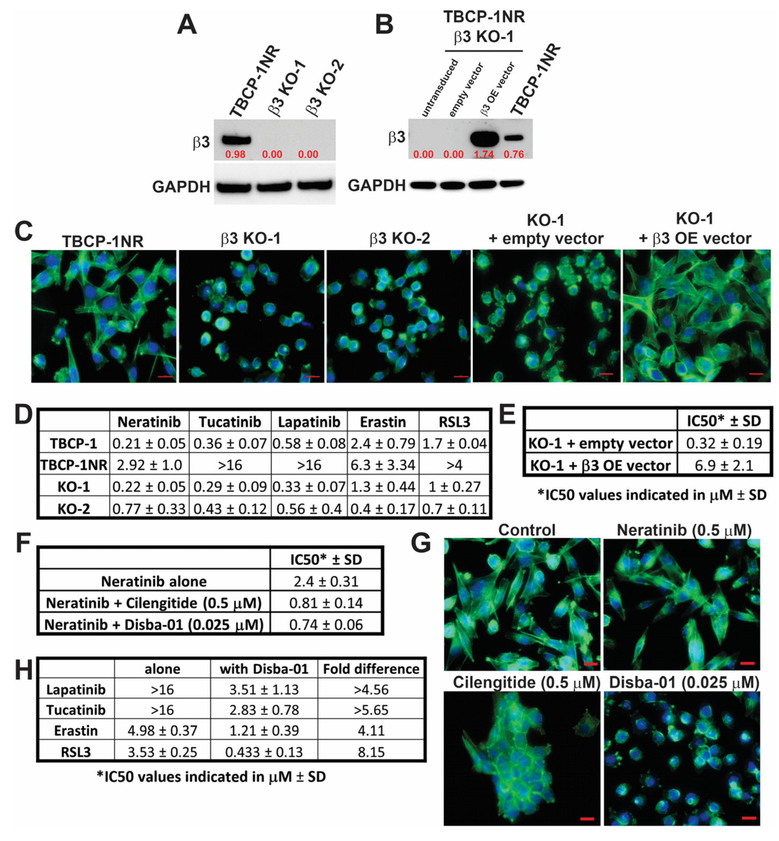 Cancers 15 01216 g003 Cancers 15 01216 g003